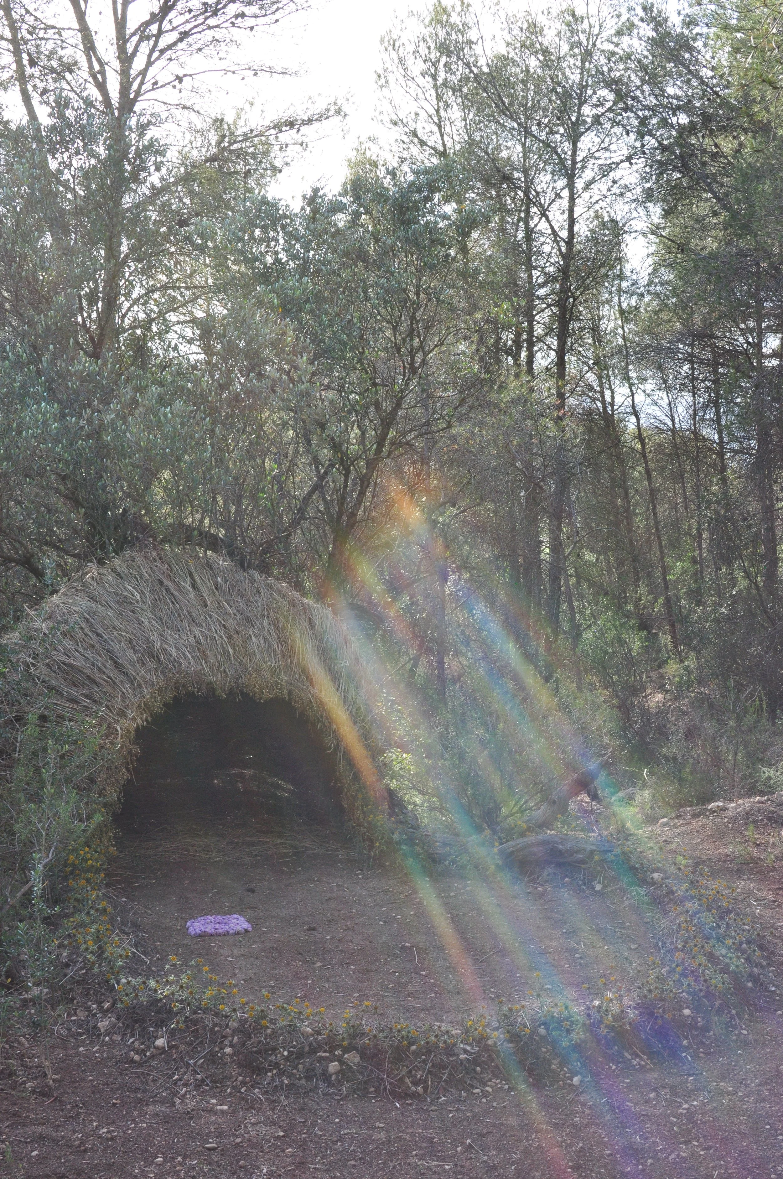 Casanova del Bosque, 2019