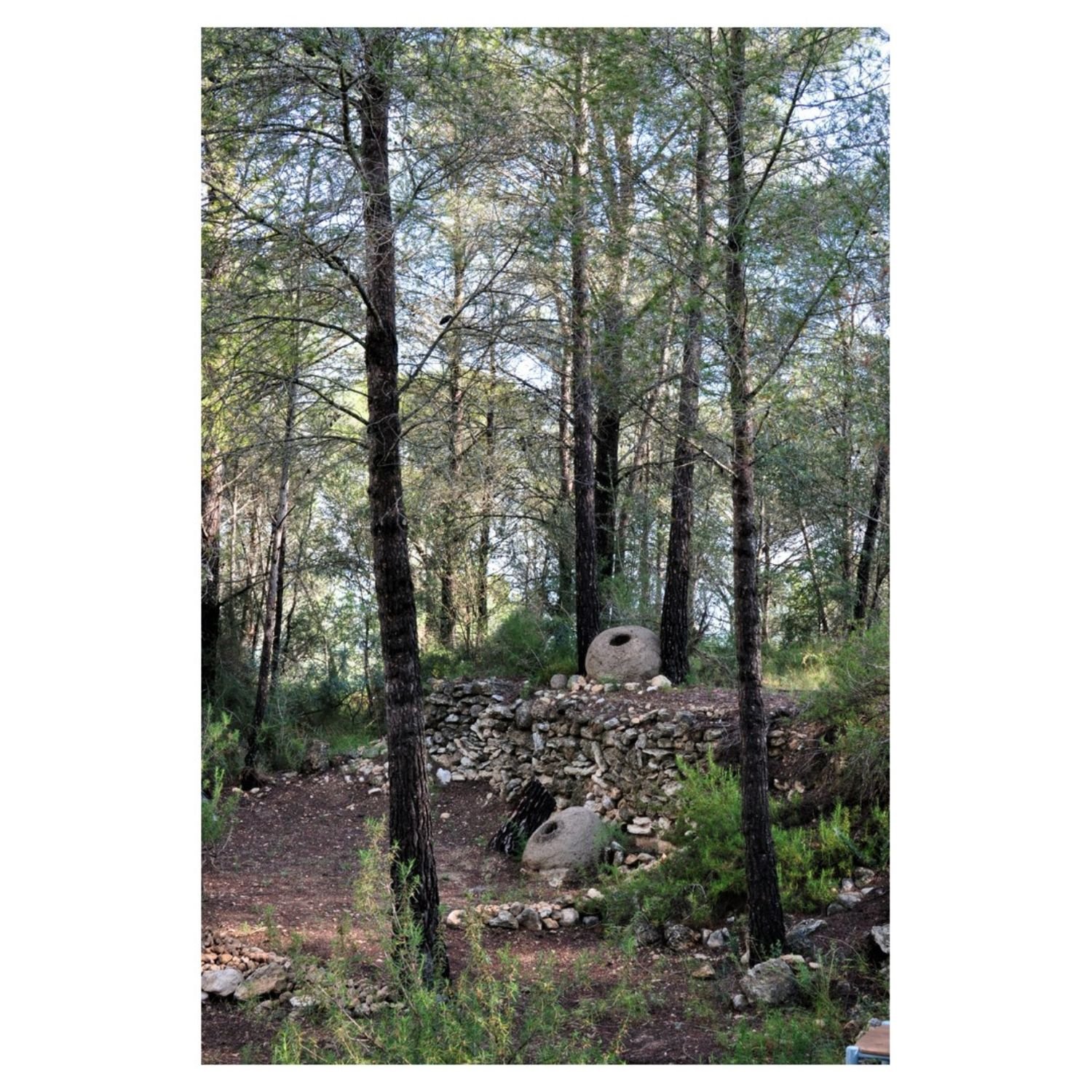 2018_Sculpture_Retirada in process_plaster and natural found materials_70 x 70 x 70cm (15).jpg