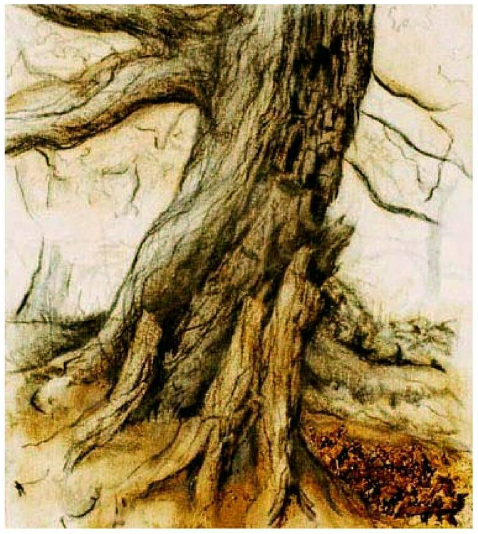 Study of a tree trunk