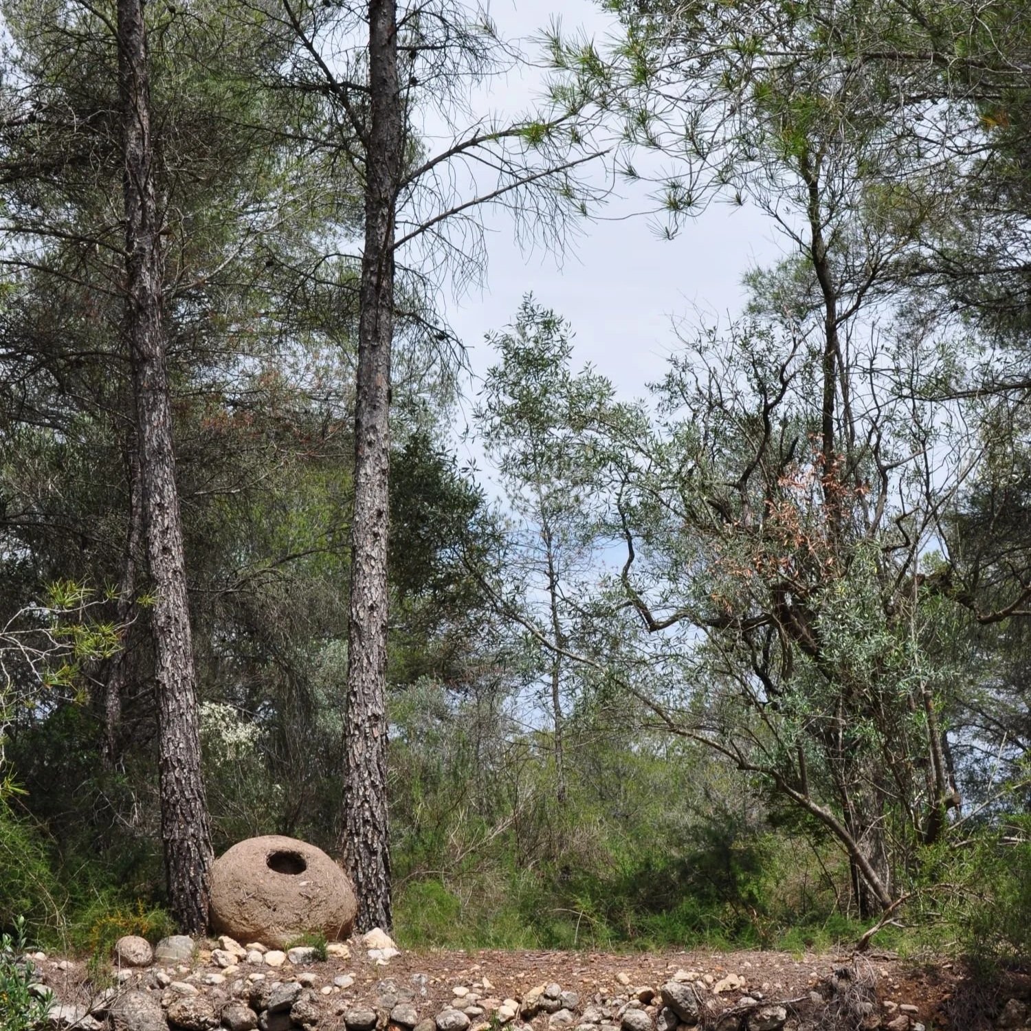 PROJECTS IN LANDSCAPE