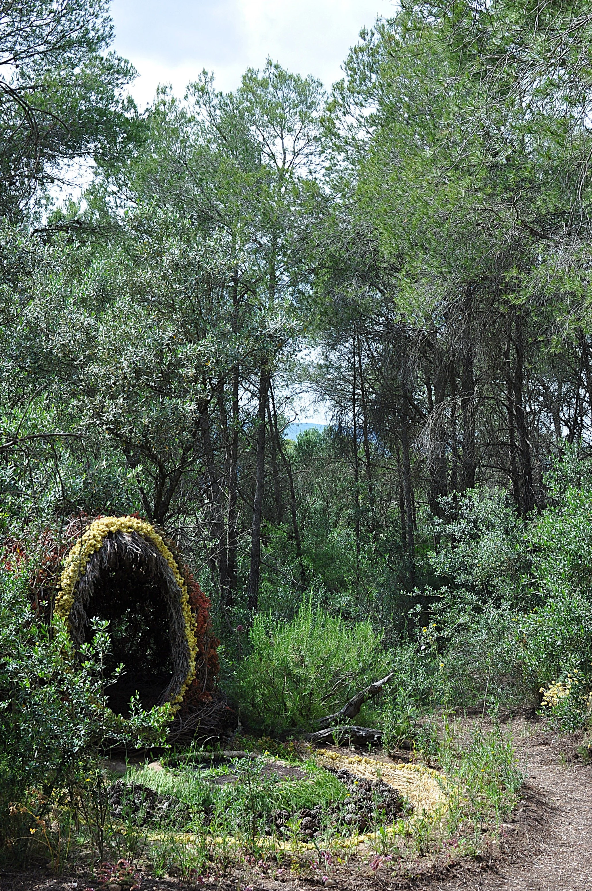 Casanova del Bosque seen at a distance among trees and dense woodland vegetation in rural Catalonia.