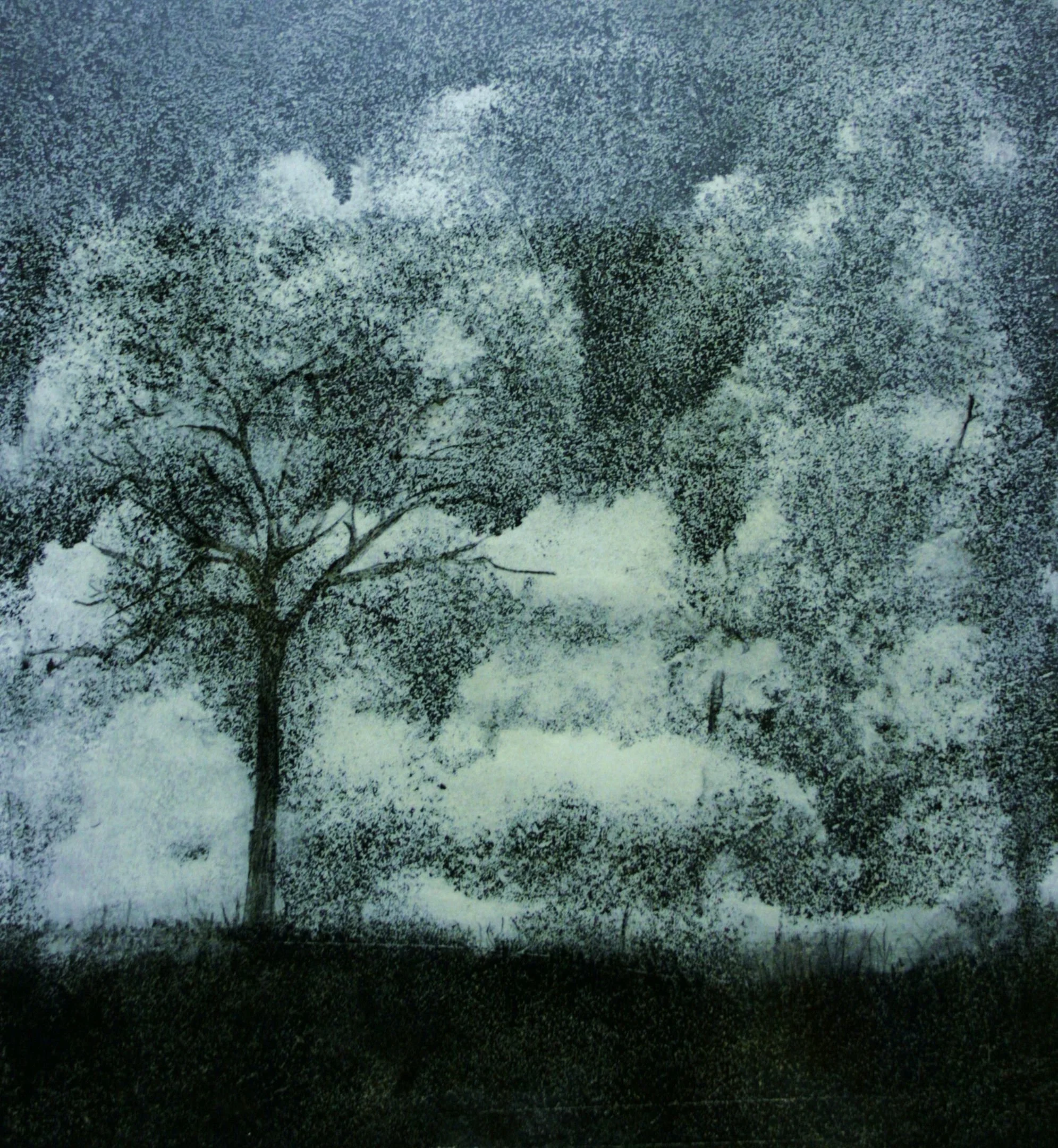 Atmospheric charcoal drawing of a solitary tree emerging from a softly textured, misty landscape.