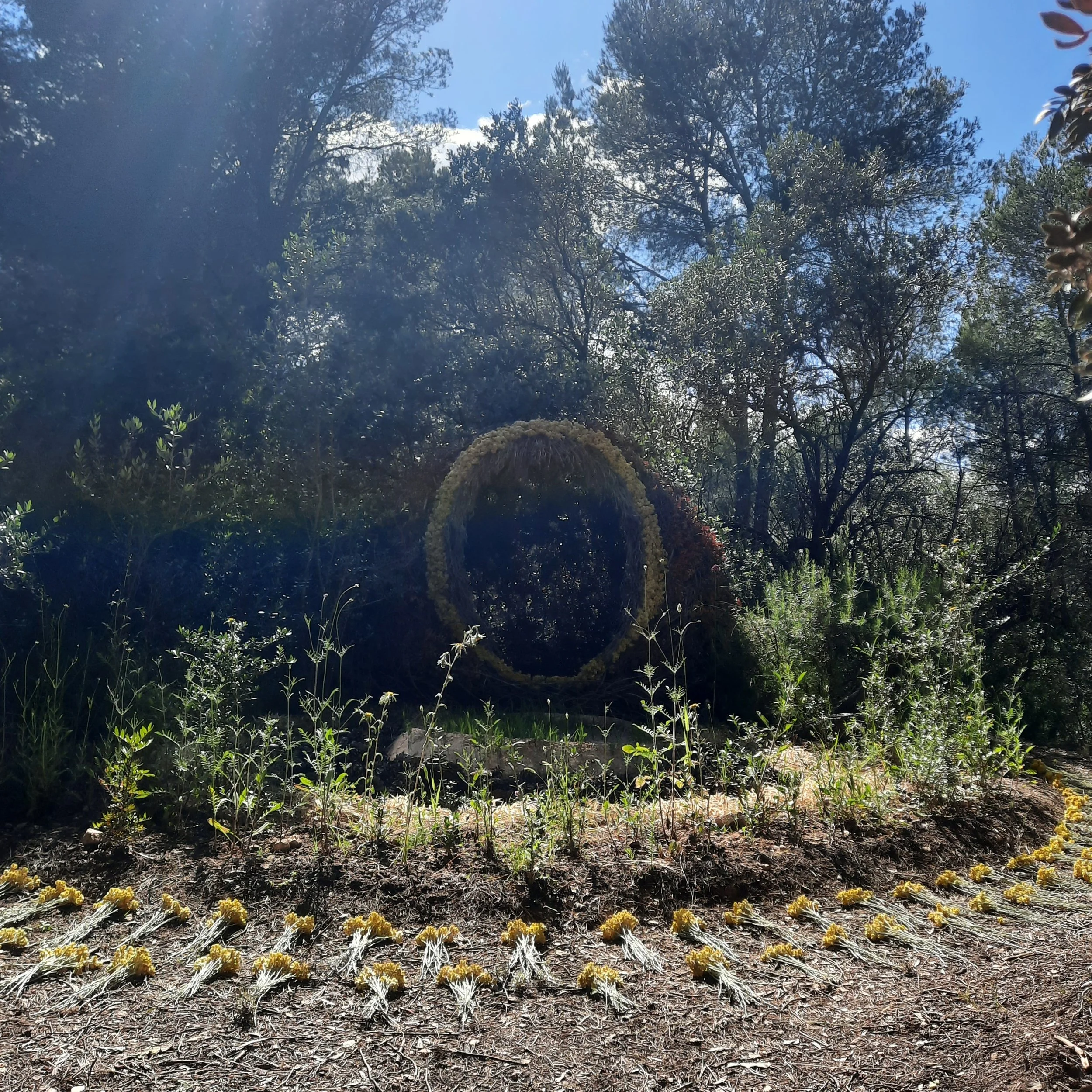 Circular entrance to Casanova del Bosque, a woven woodland sculpture surrounded by plants in rural Catalonia.