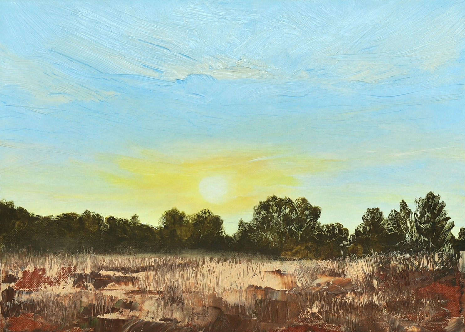 Paseo 2, an oil painting of a low yellow sun above a dark line of trees and a textured dry field in Catalonia.