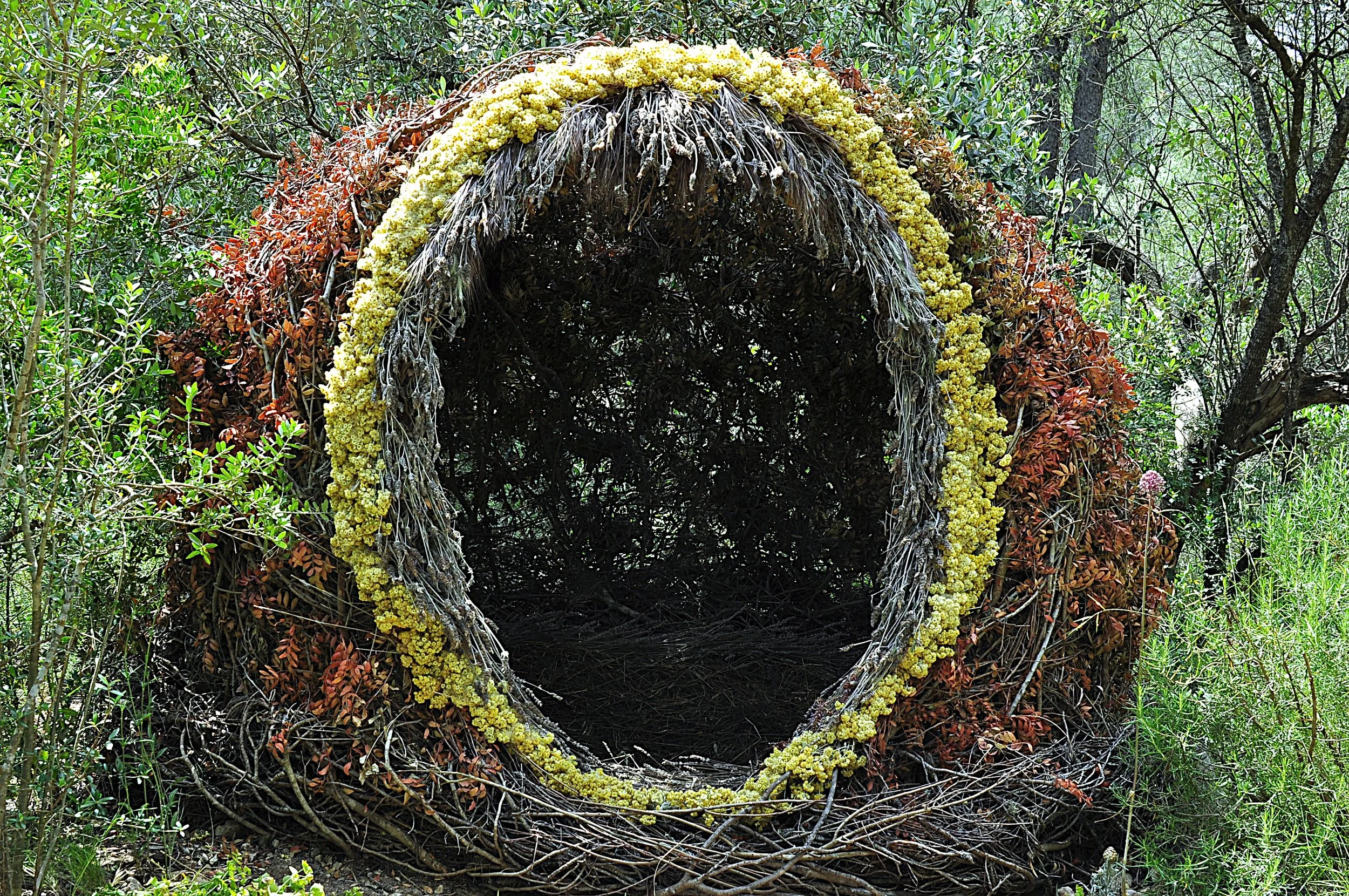 Close view of the circular woven entrance to Casanova del Bosque, edged with yellow flowers and rust-coloured foliage.