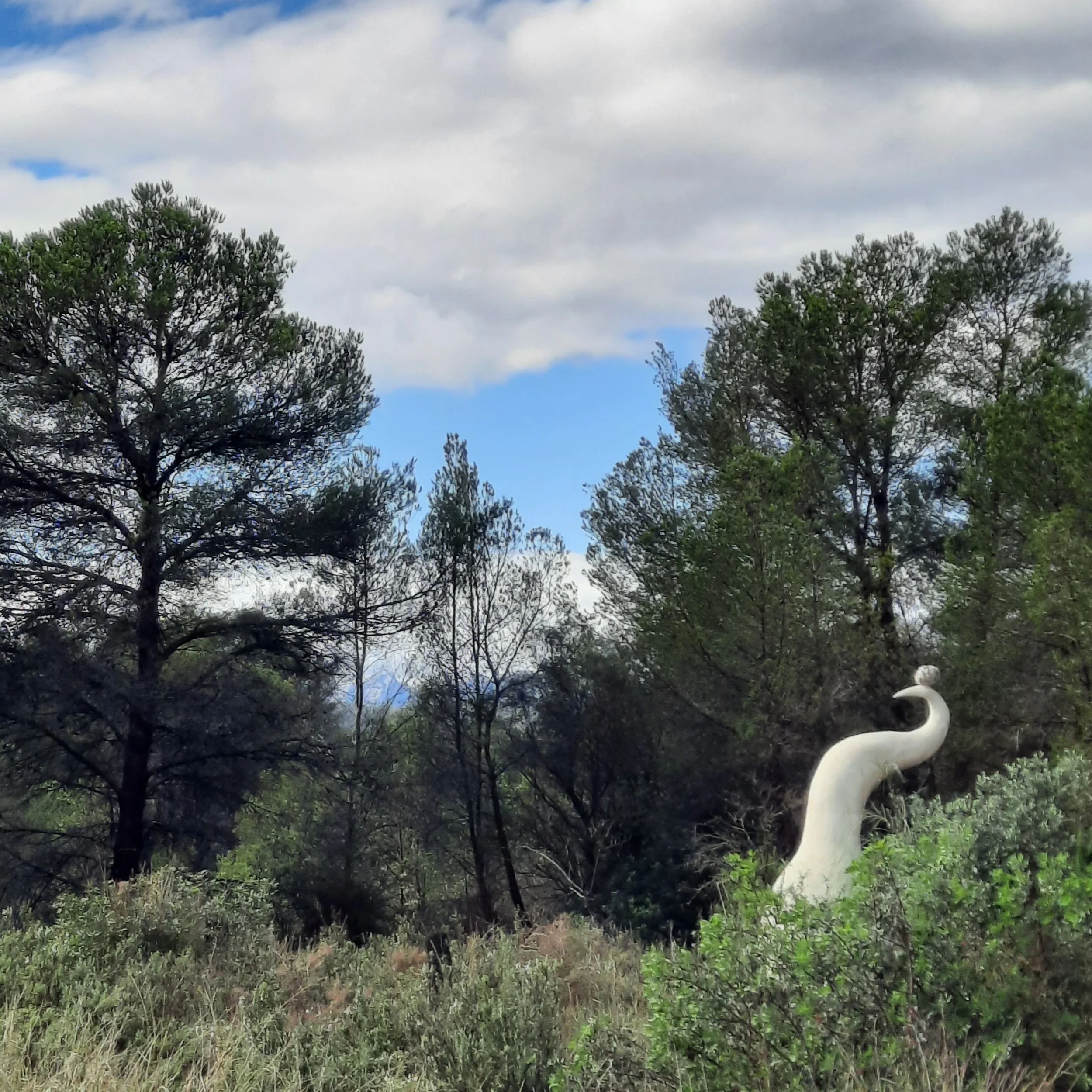 Calling All Beings, a tall pale plaster sculpture rising above dense vegetation in a Catalonian woodland.