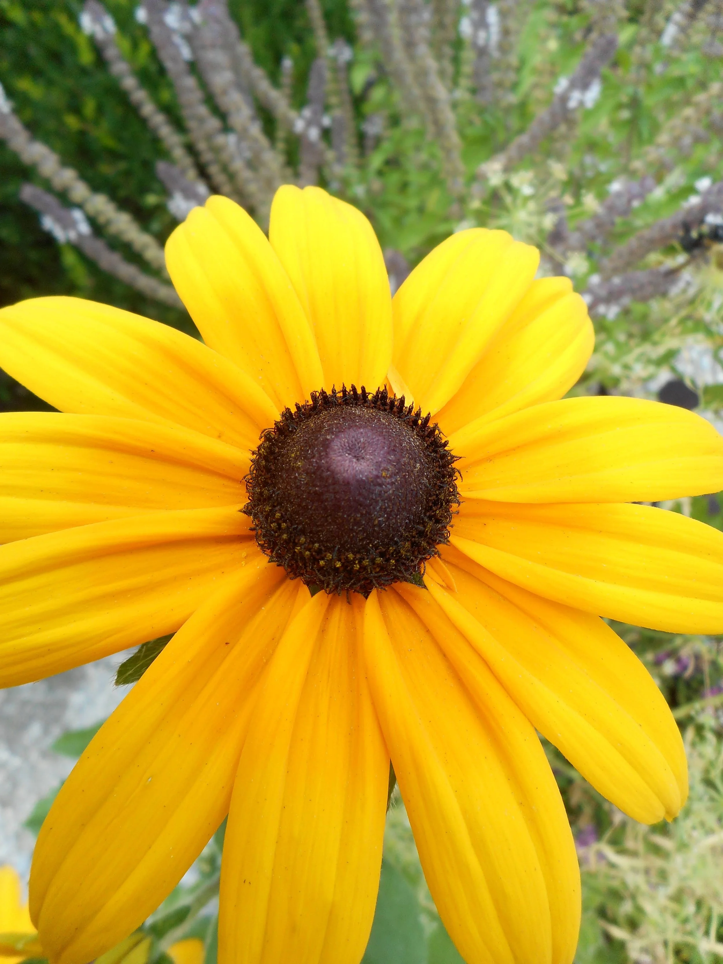 DSCN0321.JPG
