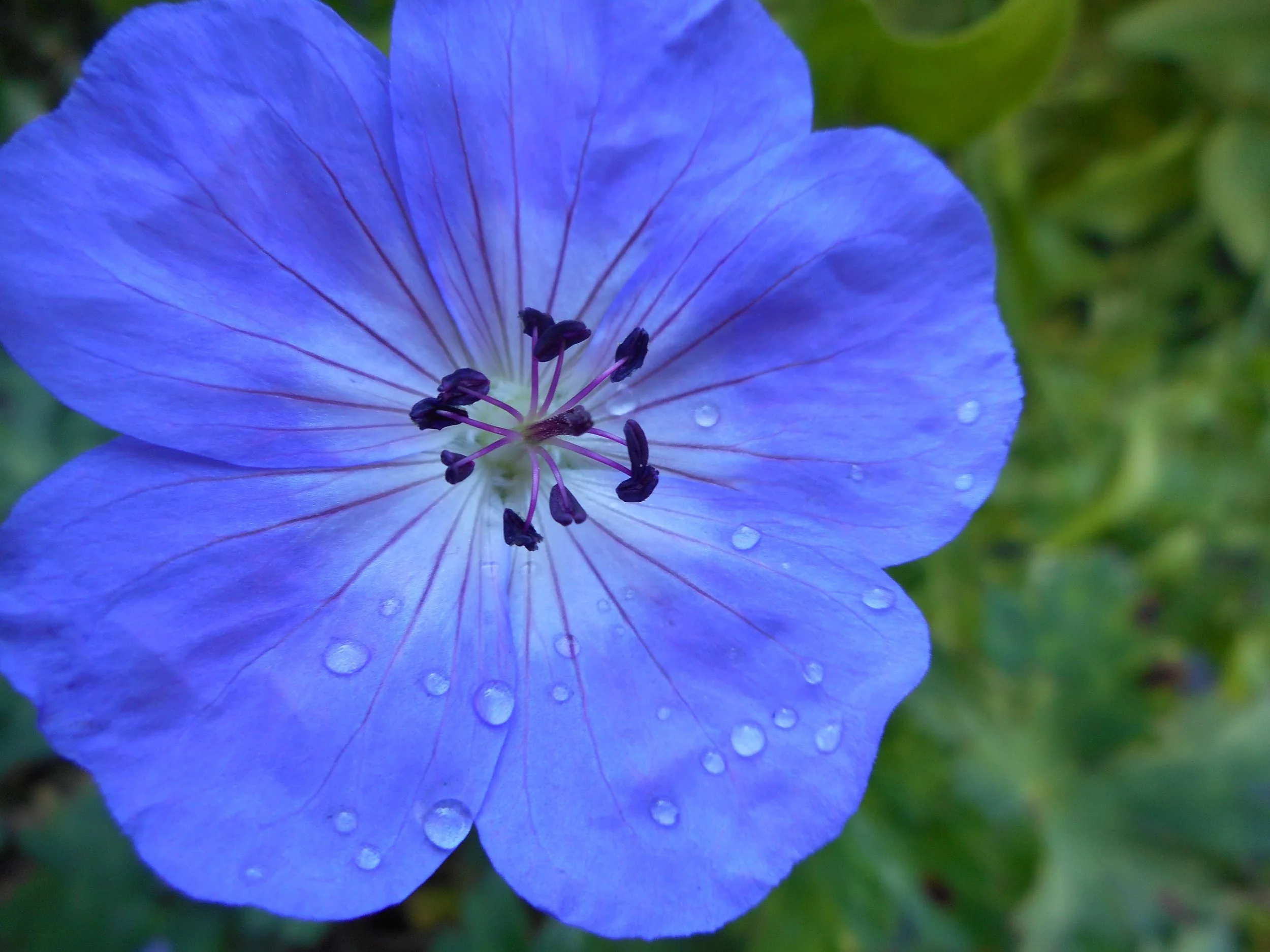DSCN0467.JPG