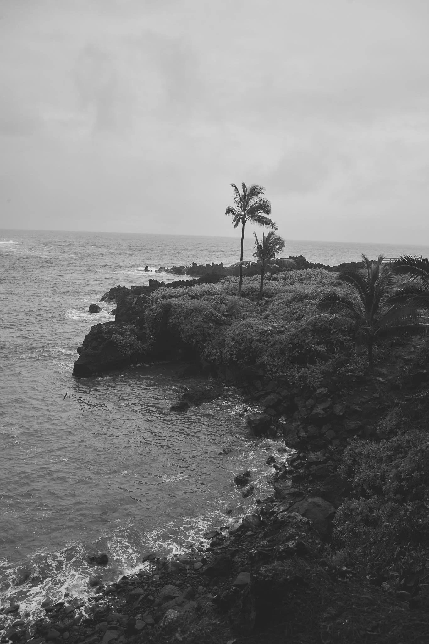 MAR24_AMBER_CasaVerde_Landscape_0333_a.jpg