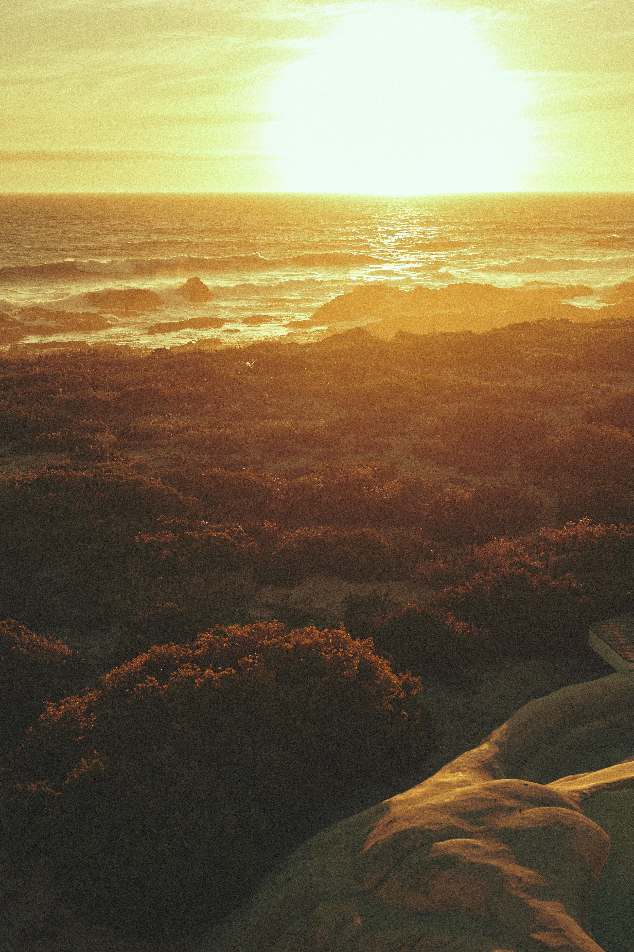 DEC23_JESS_Wellness_LANDSCAPE_1932_post_AB.jpg