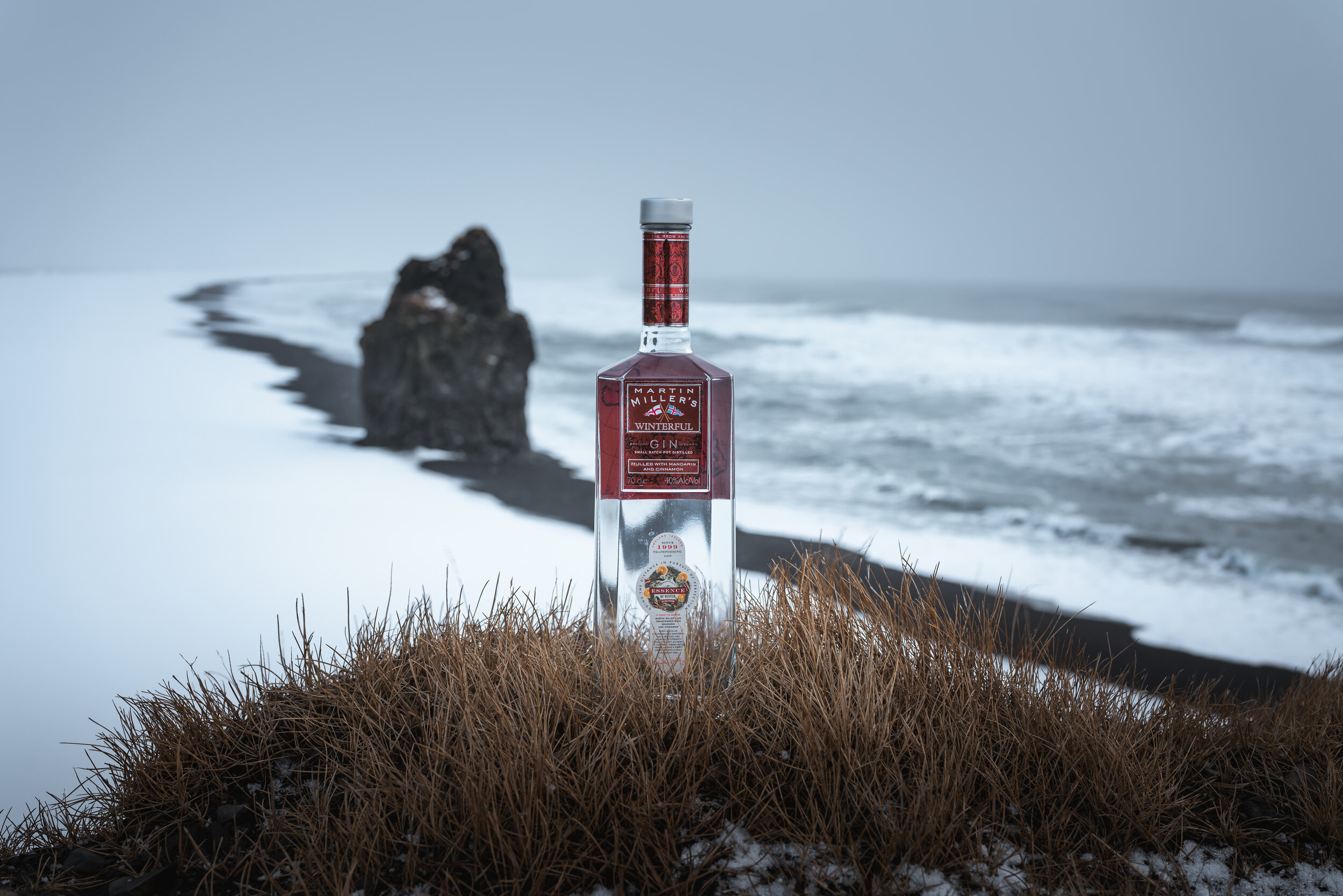 Winterful Gin 7 (Landscape).JPG