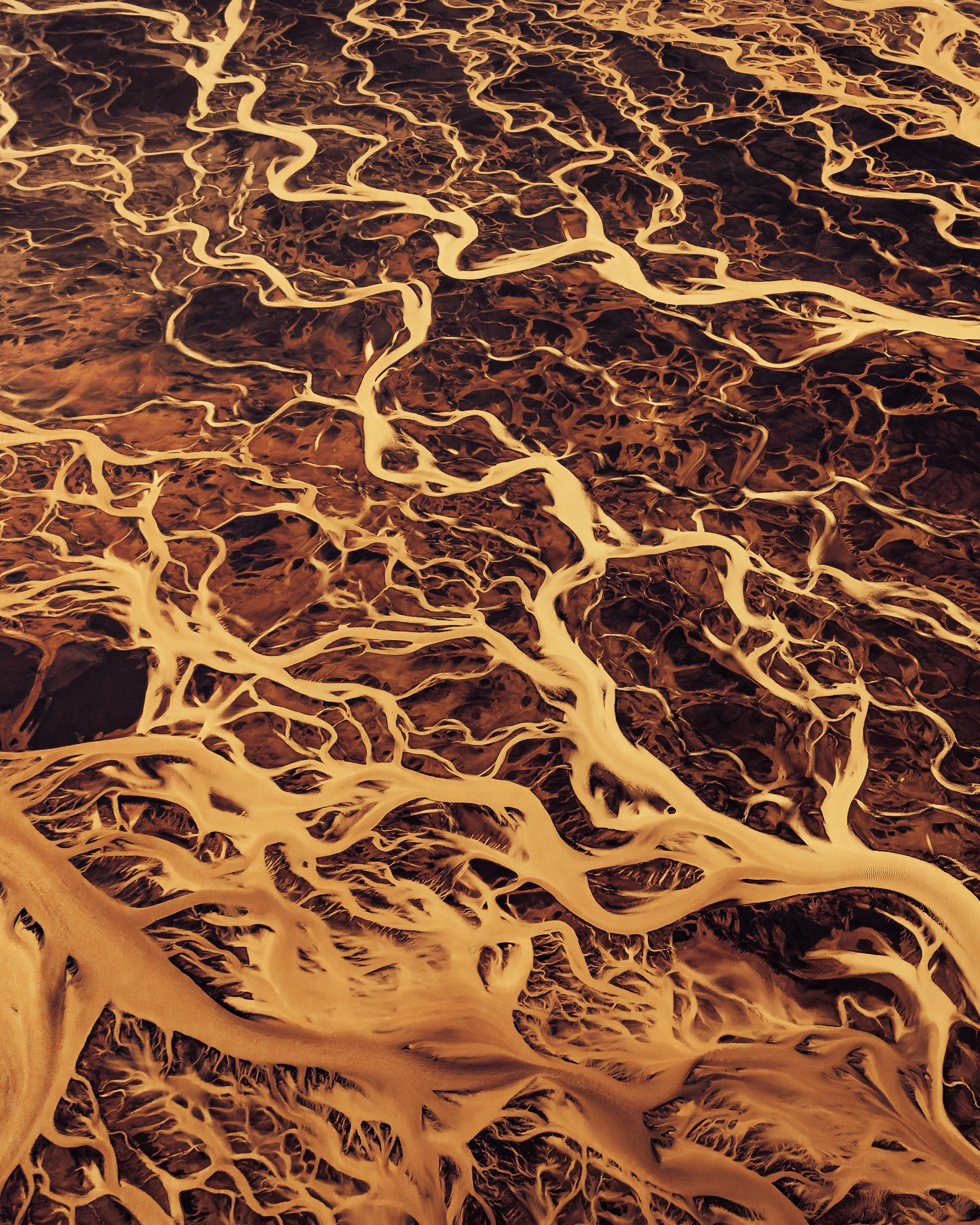 LandscapeV1 (5-4x5).JPG