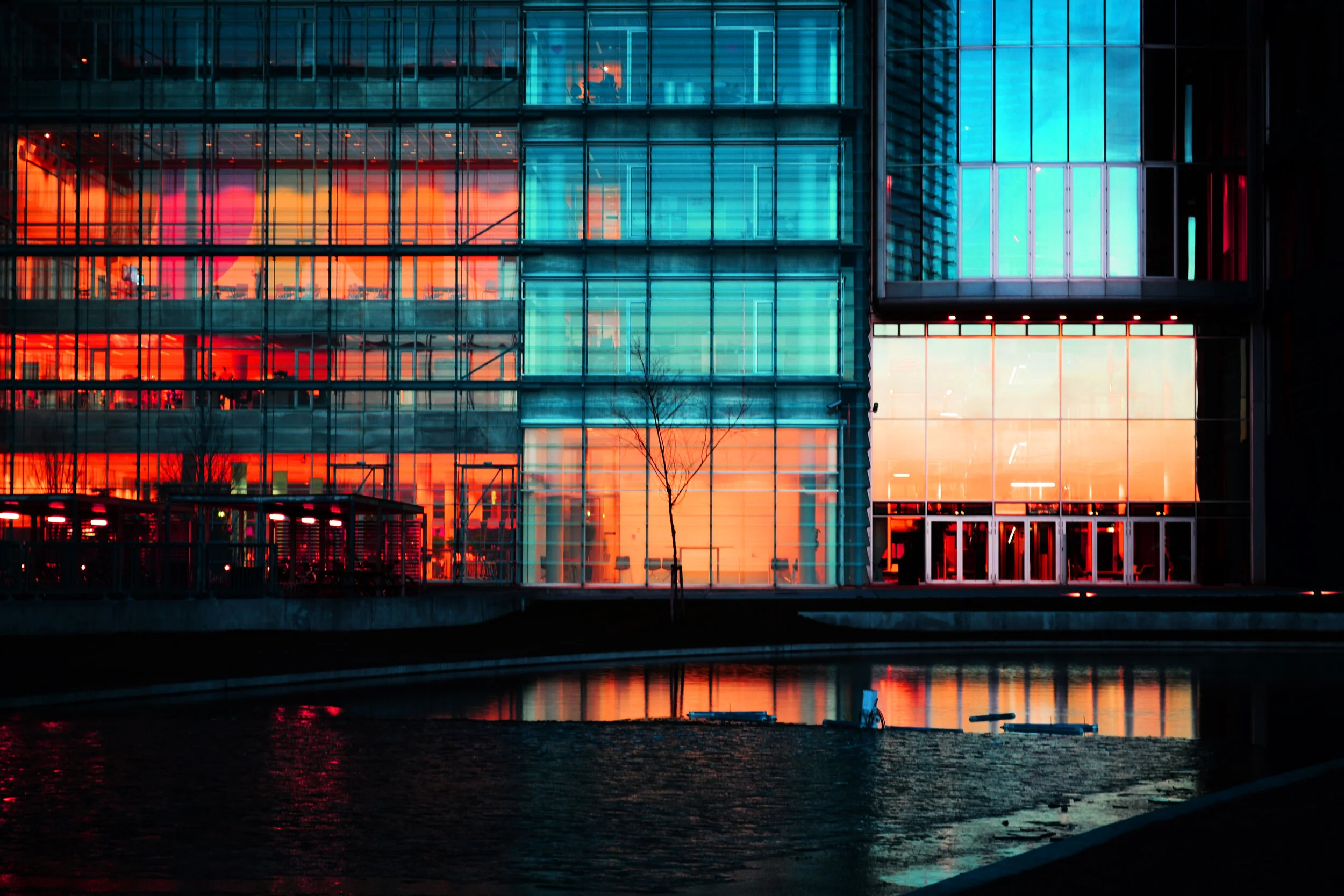 Trending in Tax — February 25, 2020