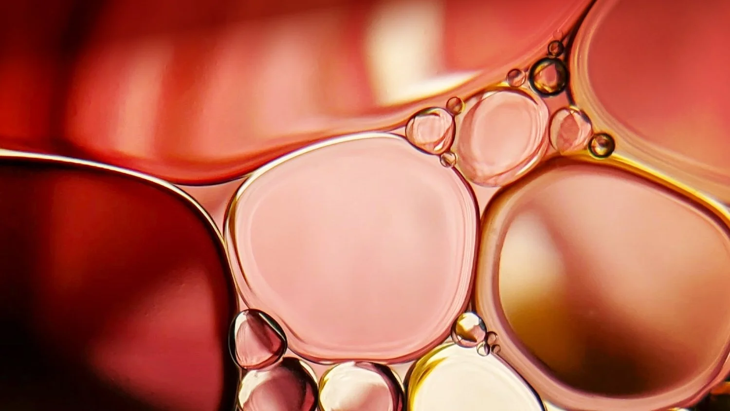 Draft NEMA Code of Conduct for environmental inspectors published for comment