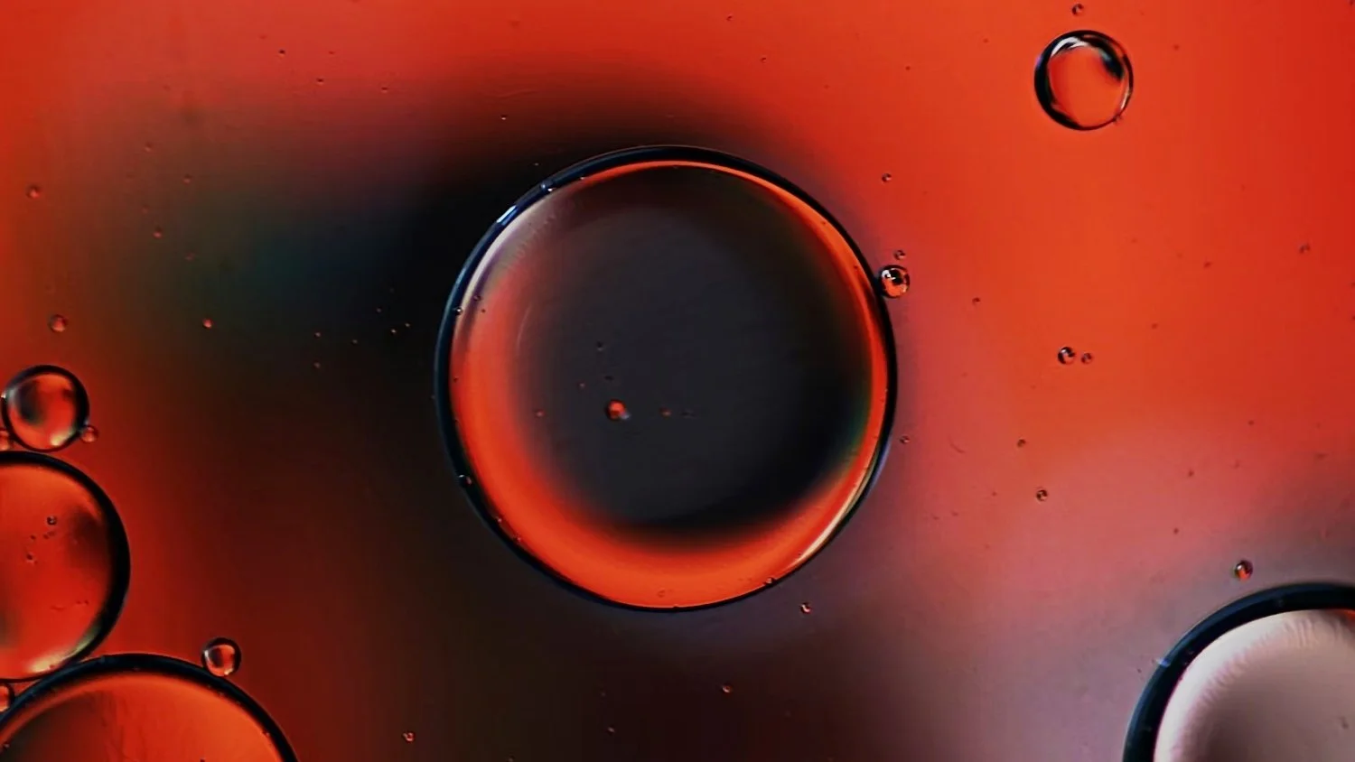 New Persistent Organic Pollutants listed under the Stockholm Convention