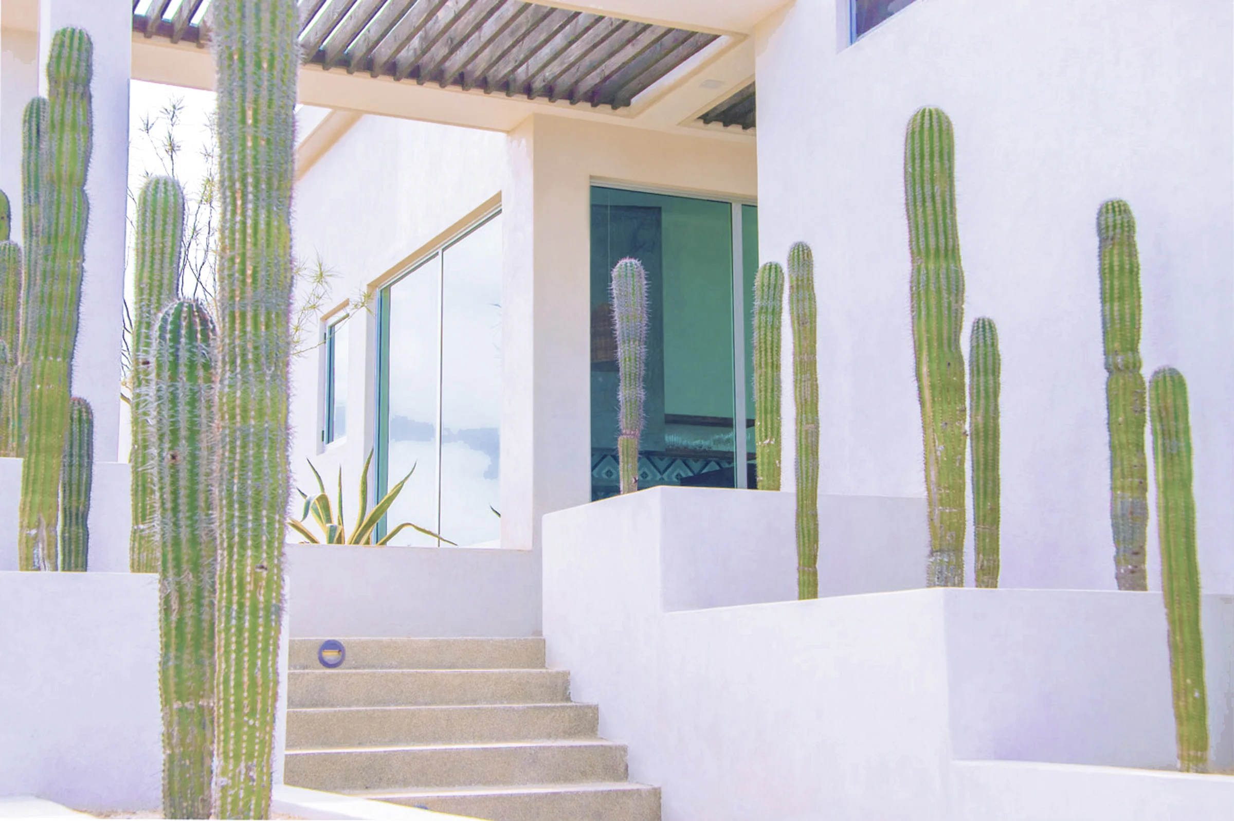 Entry Sequence with Dramatic Staircase