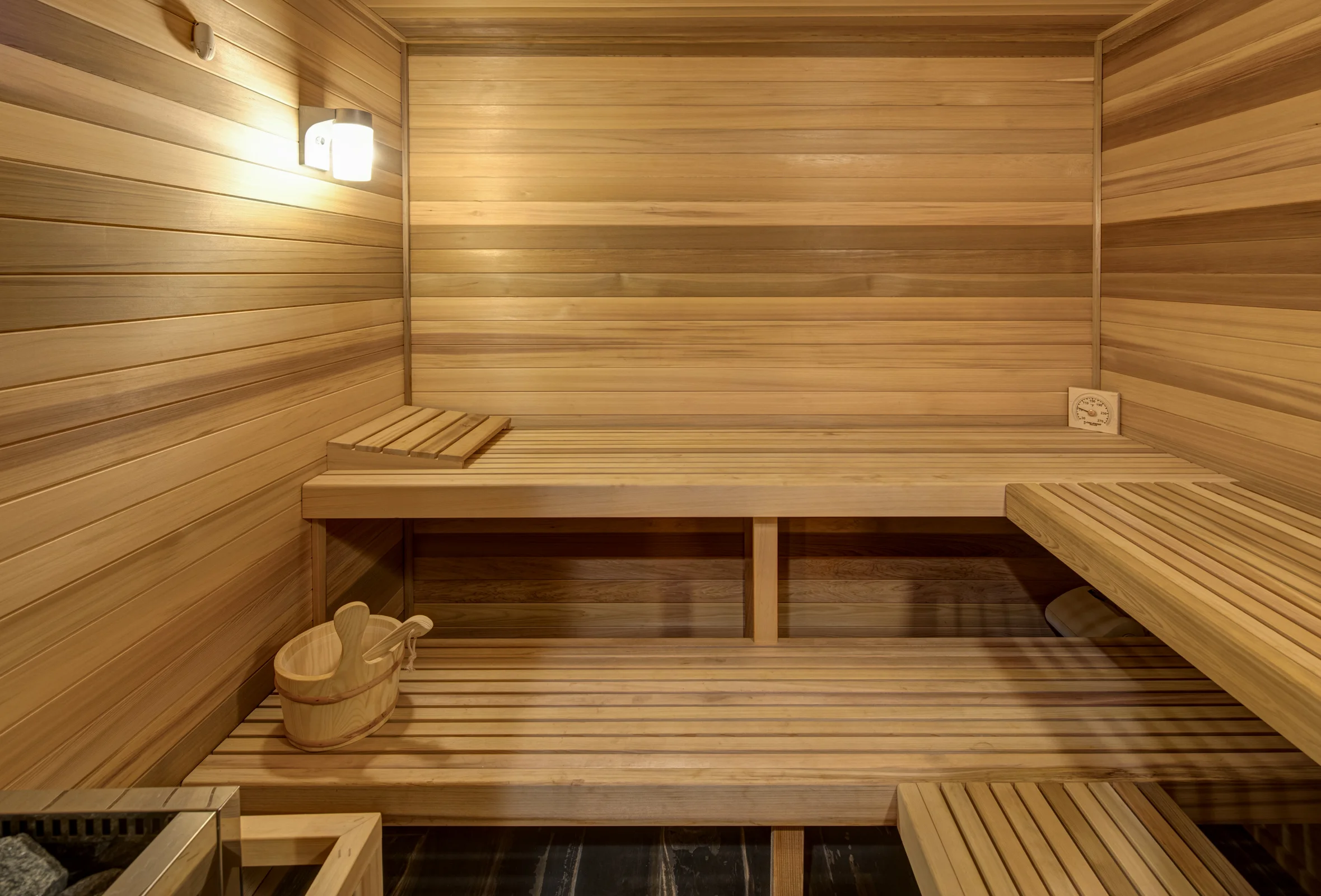Basement Sauna Adjacent to Home Gym