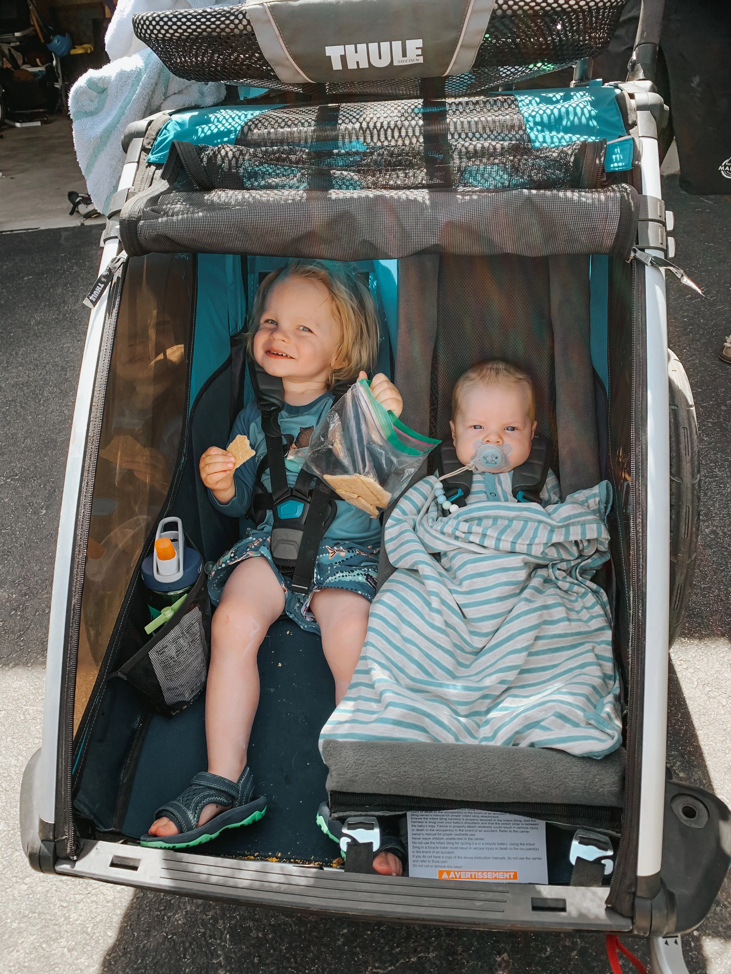 thule newborn insert