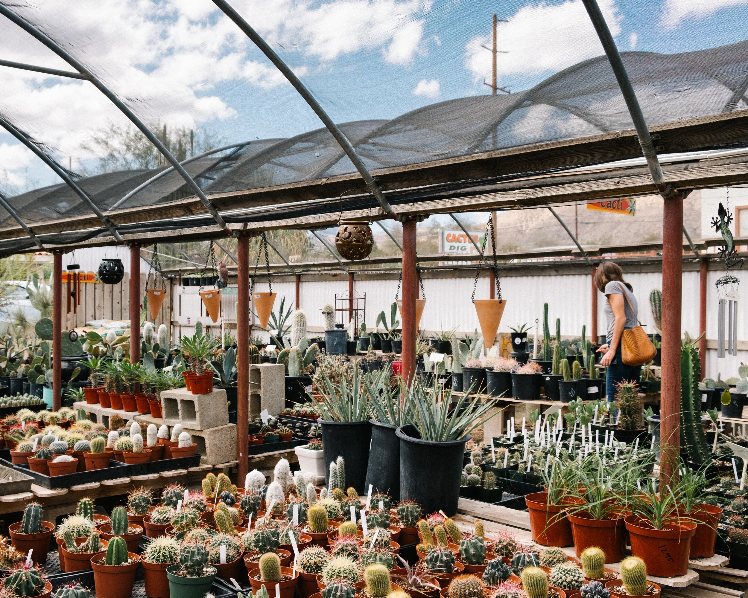 Cactus Mart