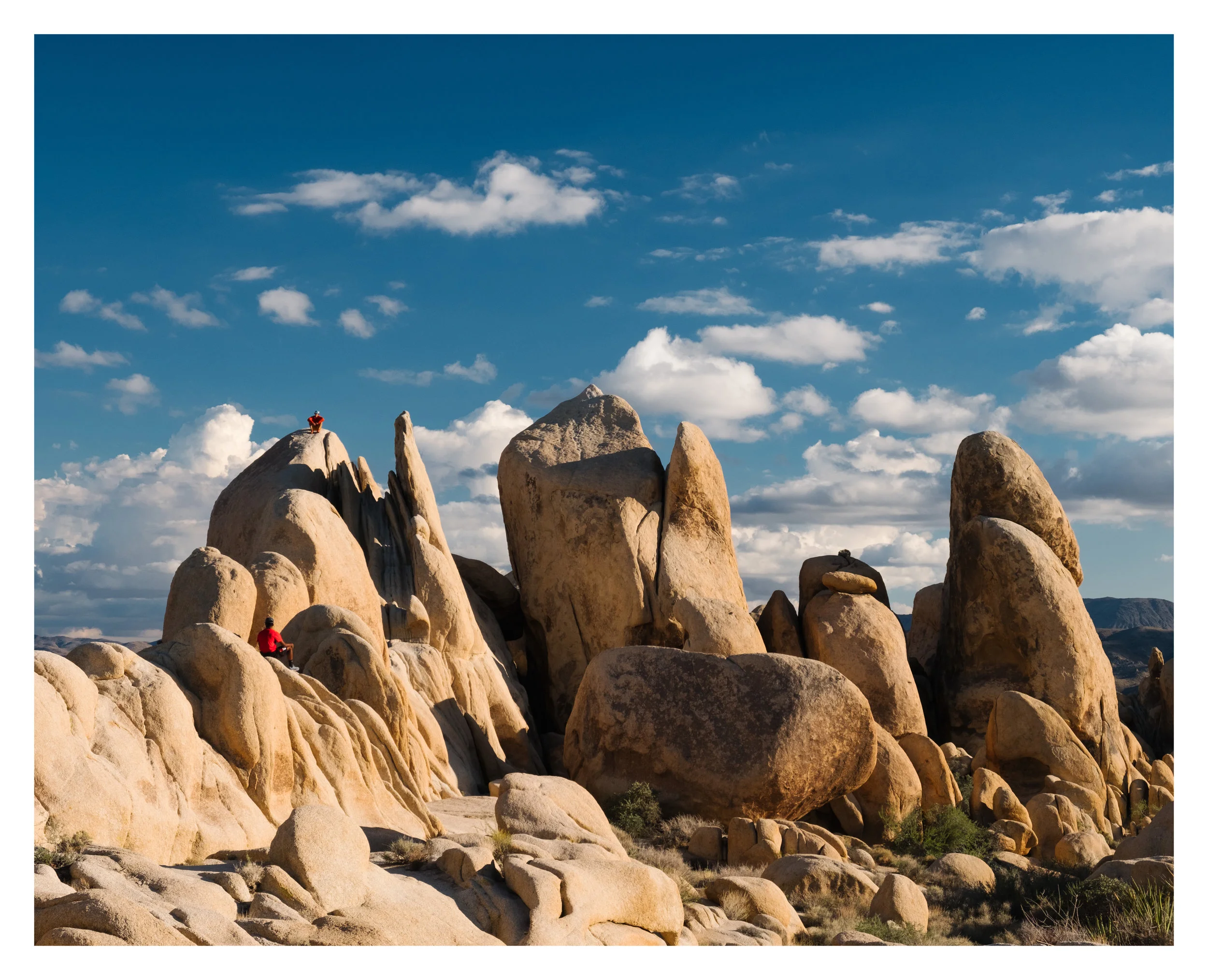 JoshuaTree_Oct2018-1044.jpg