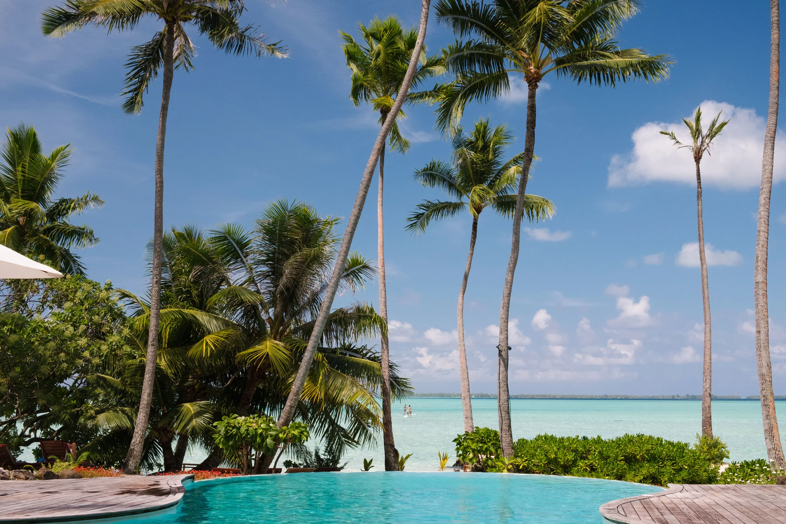FrenchPolynesia2018-3469.jpg