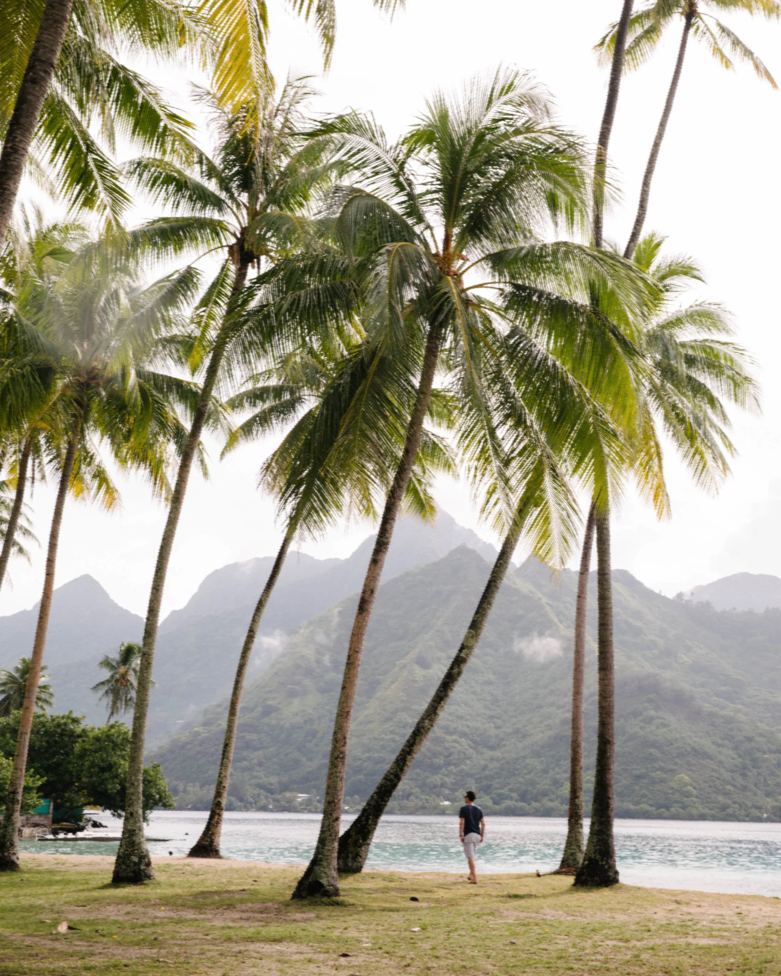 Park in Mo’orea