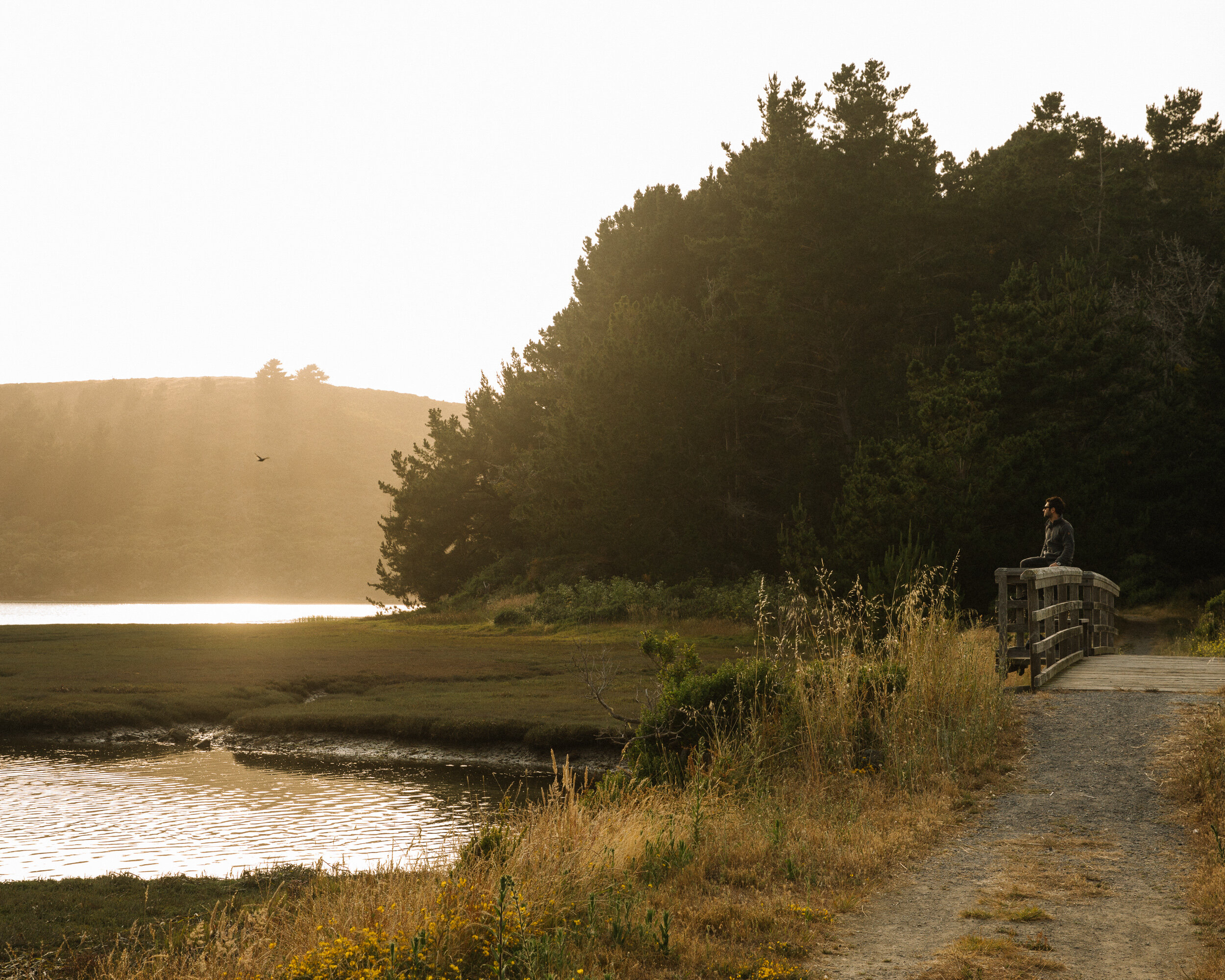 Estero Trail