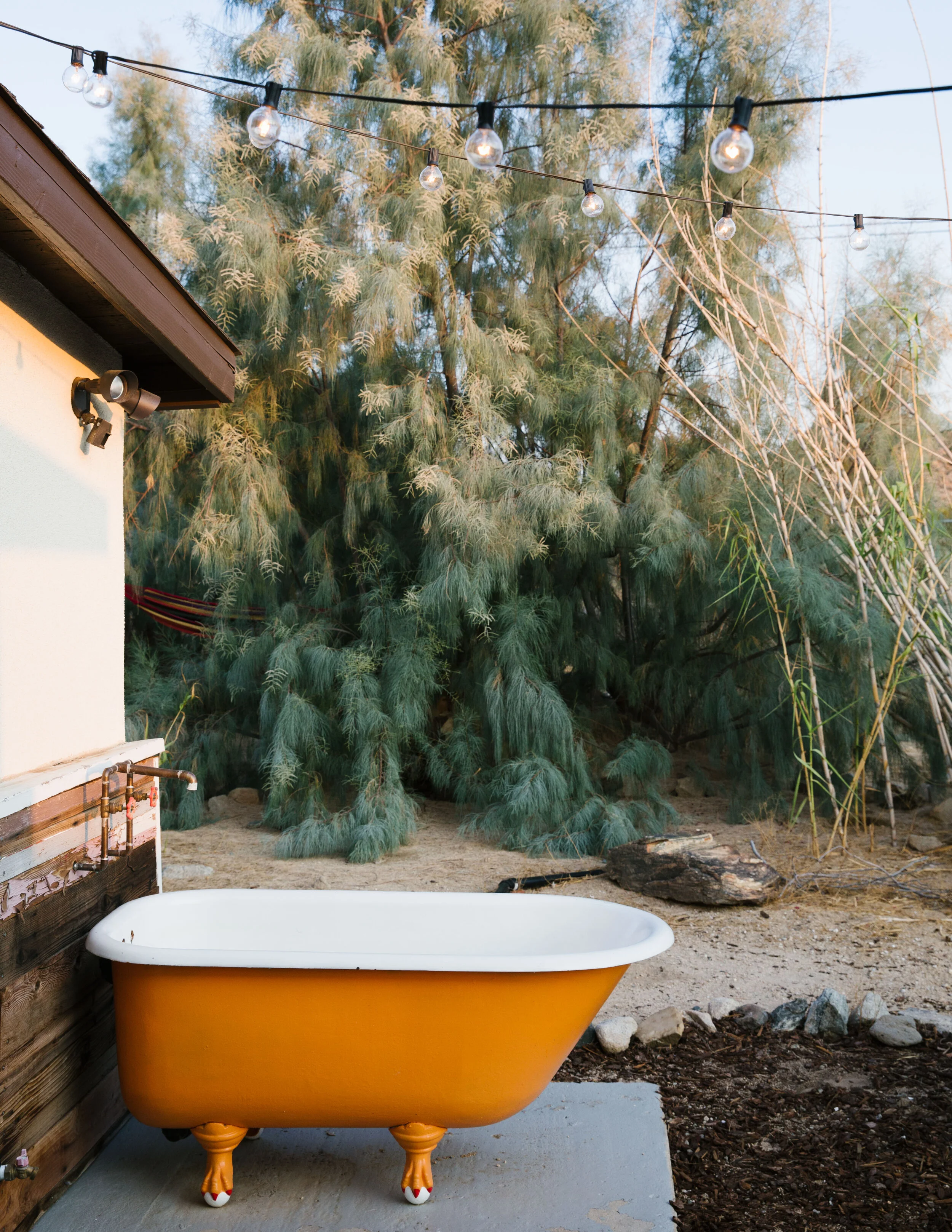 Cabin Cabin Cabin (We Are In Our Element)