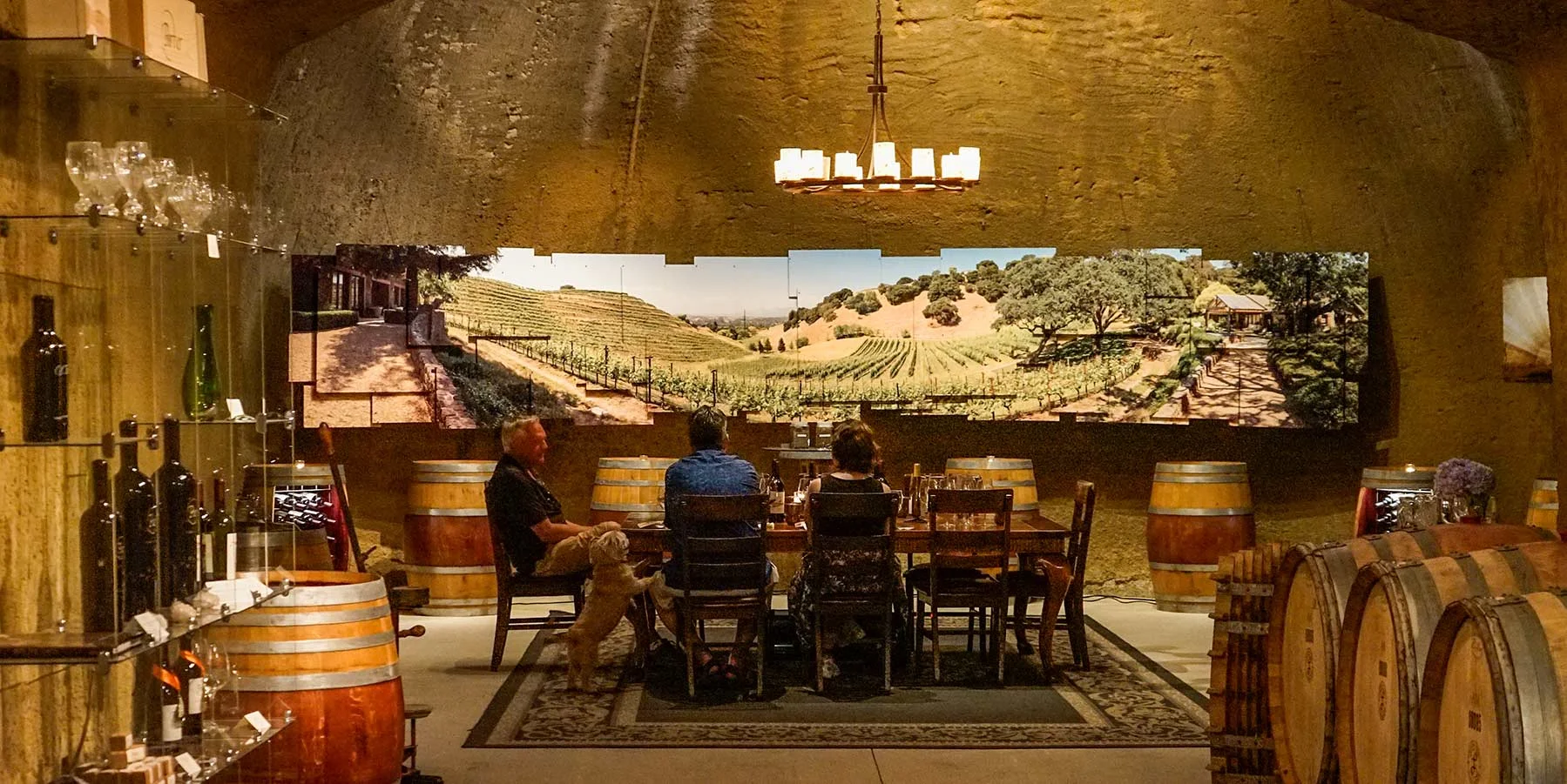 Inside the caves at Porter Family Vineyards | Coombsville