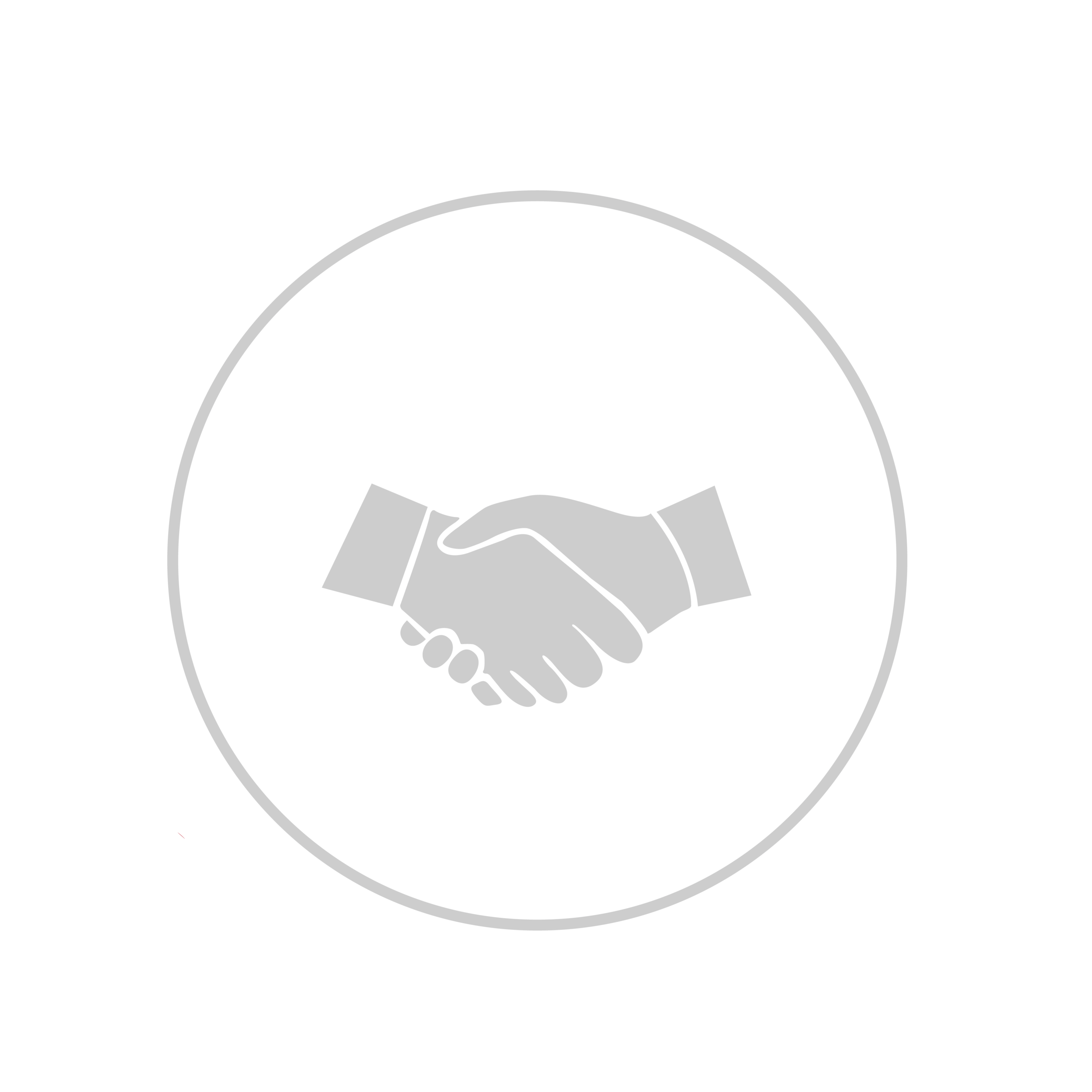 customerservicenew2.png