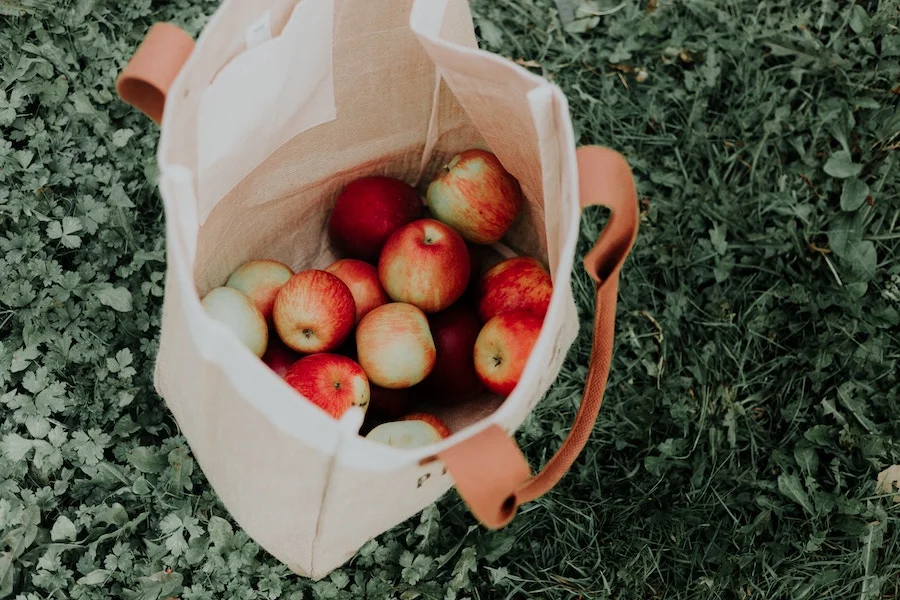 Our favorite fall activities in Chicago