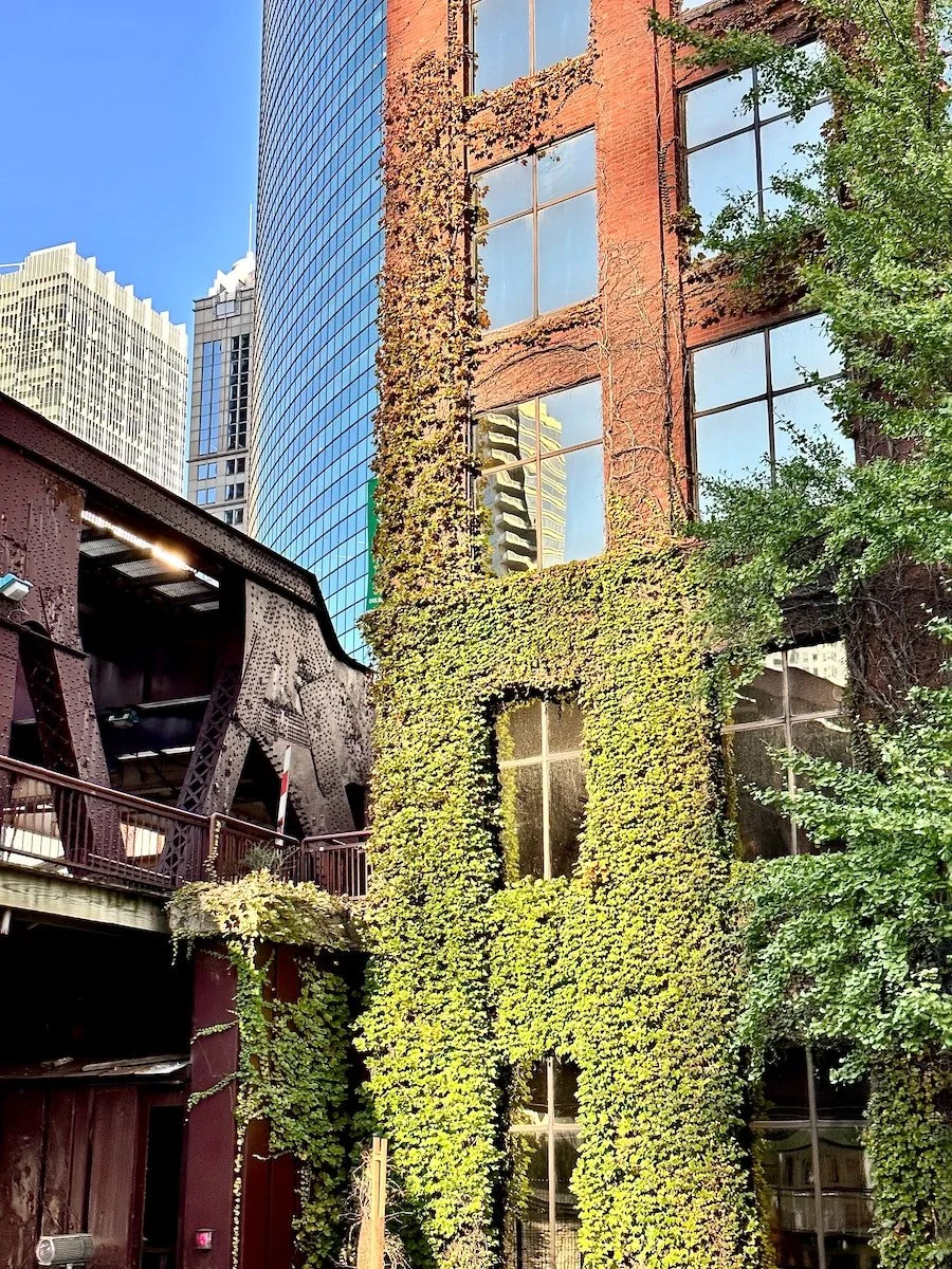 Near West Side