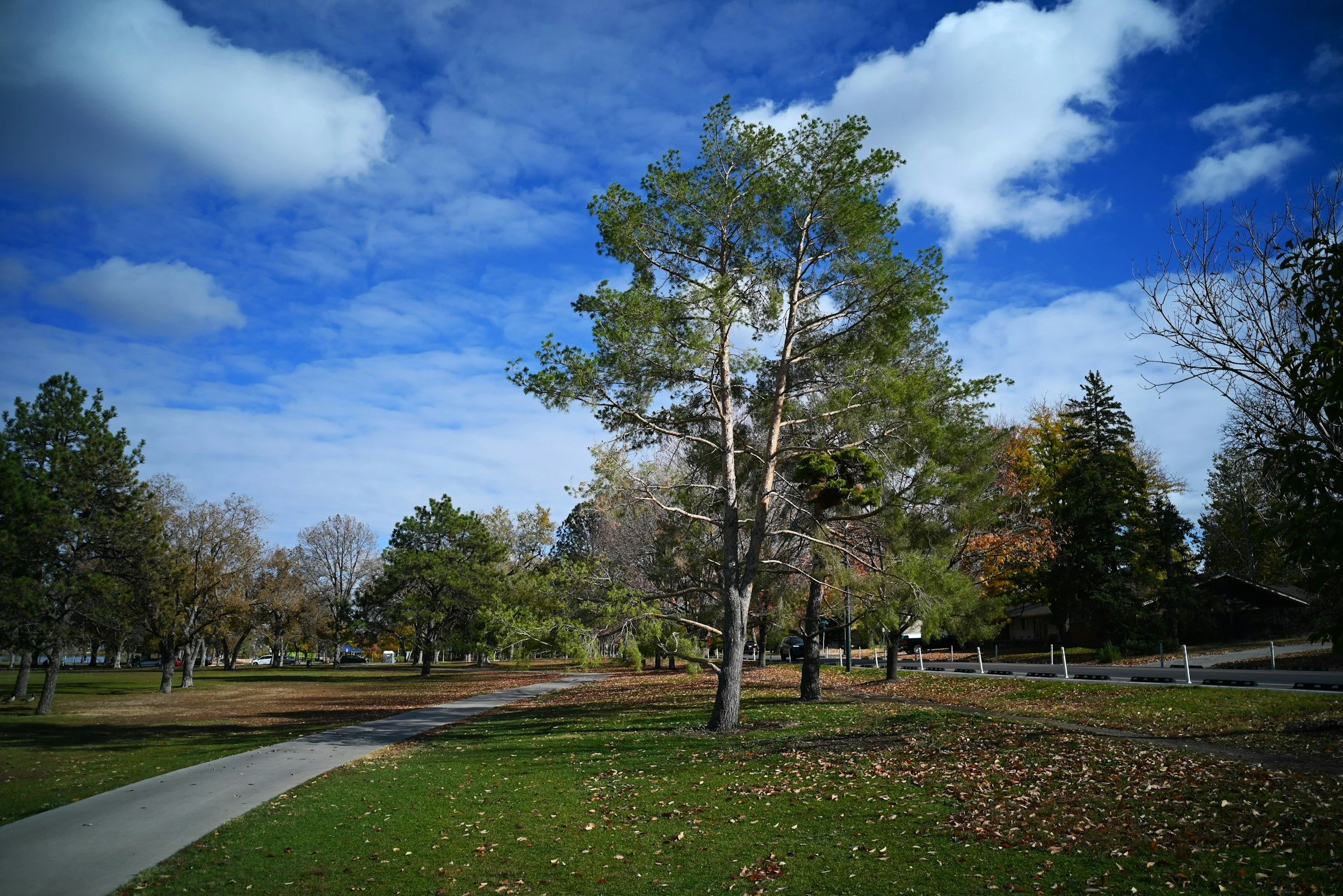 Park Ridge