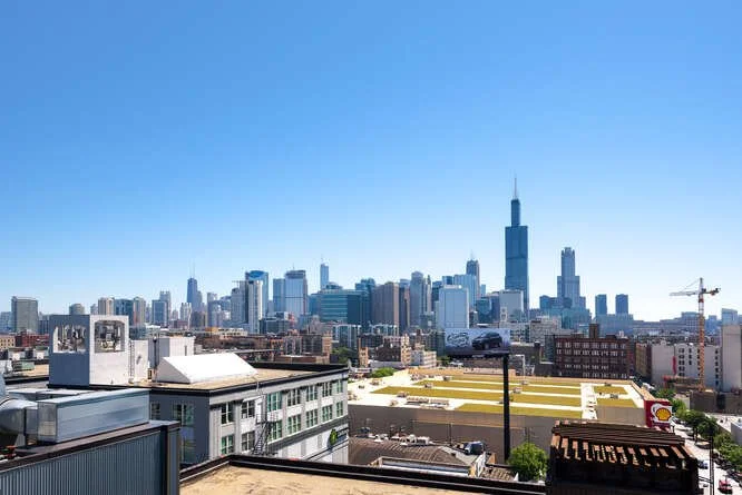 1224 W Van Buren St Apt 212-small-029-029-0027-666x445-72dpi.jpg