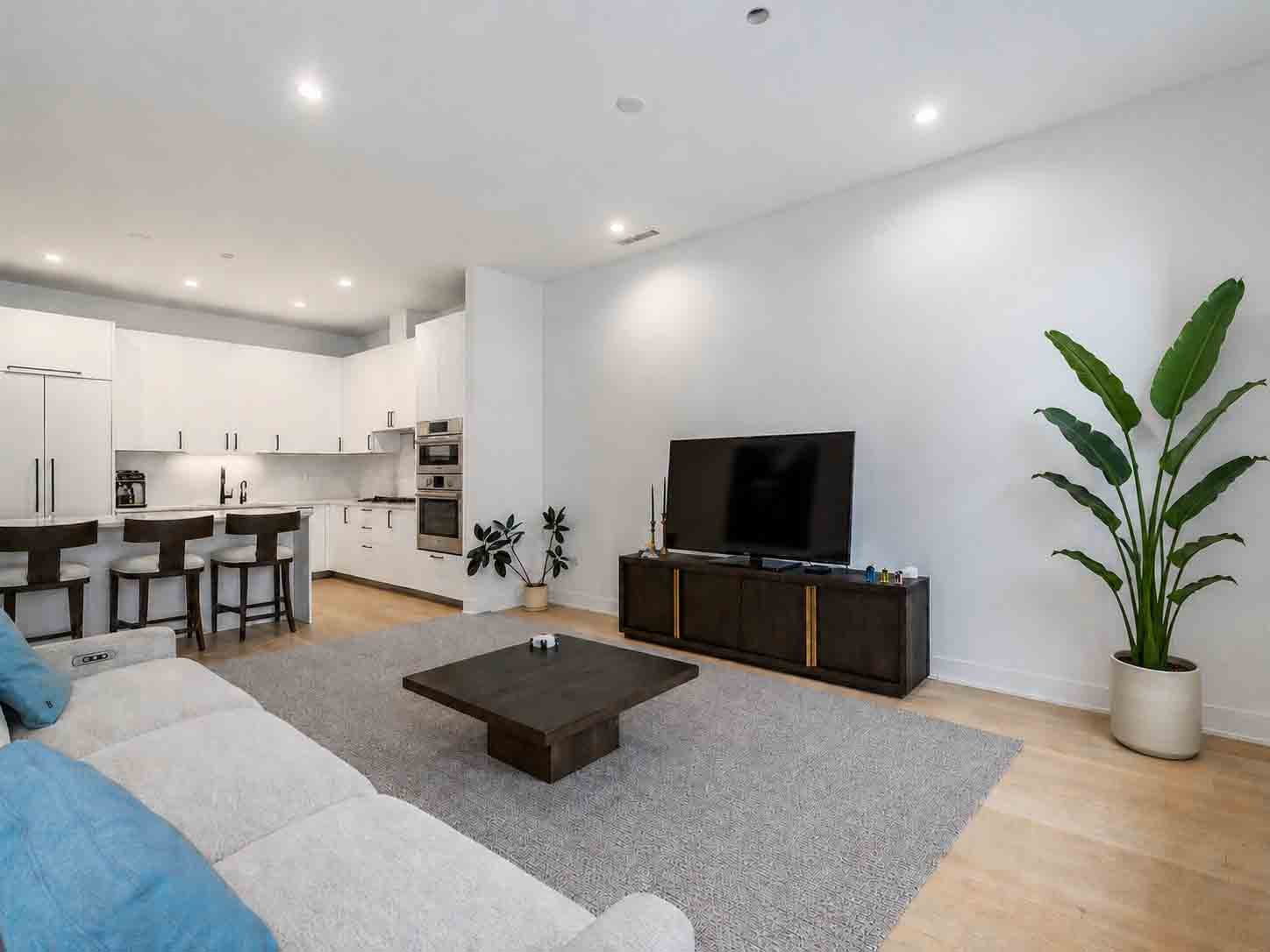 7 - VS - living room 3 (v2).jpg
