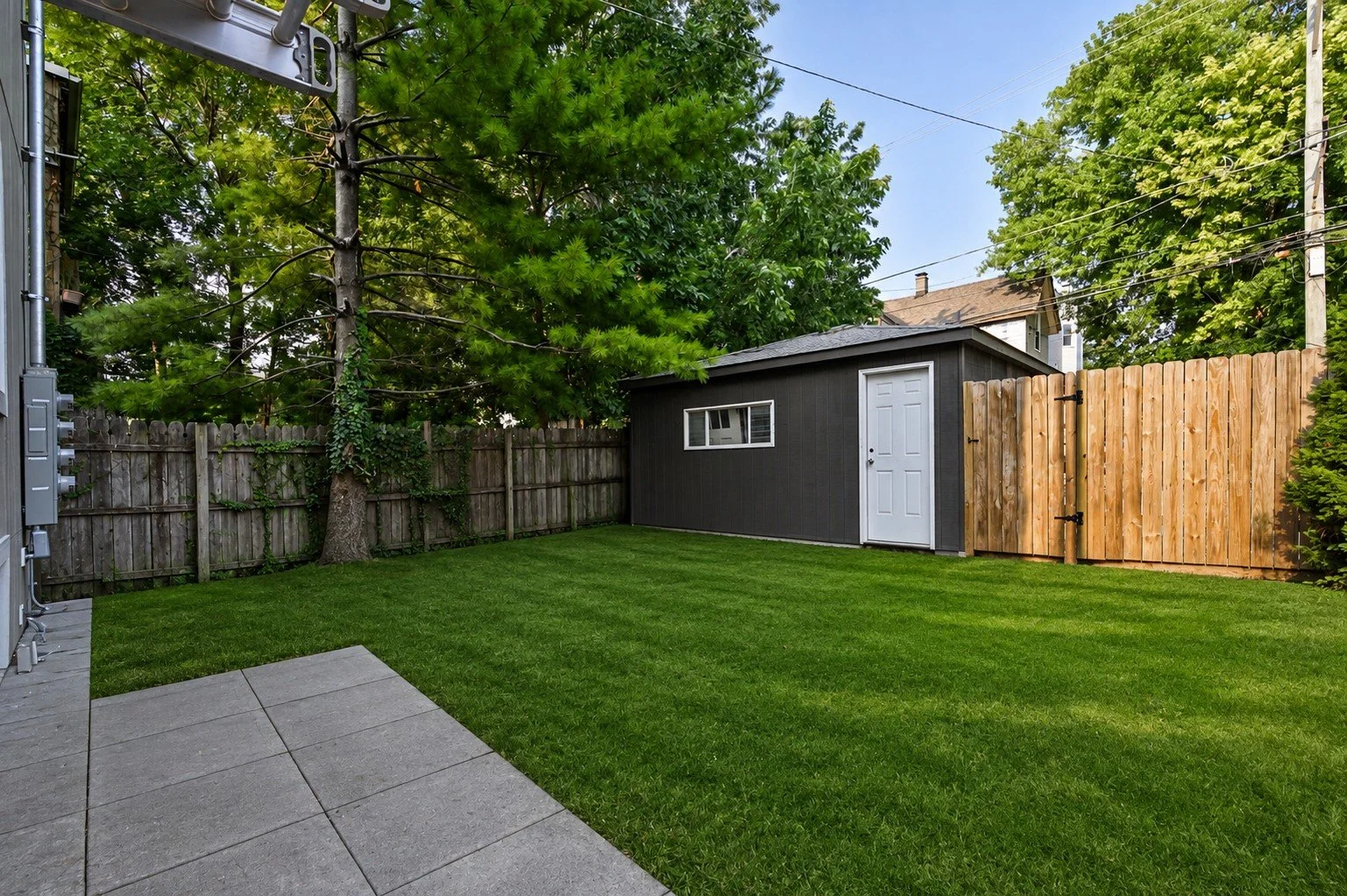 Backyard.jpg