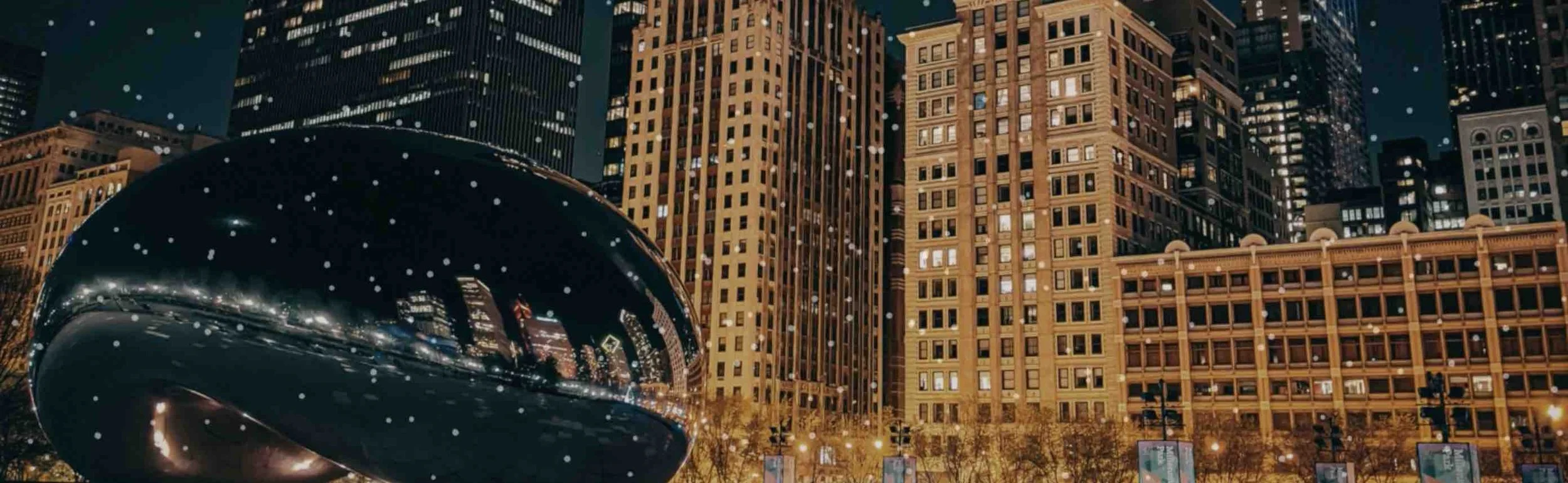 Chicago Winter Image.jpg