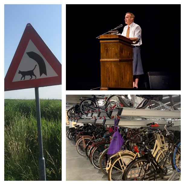 CB6 - Jenn Fiorini - Sedaris