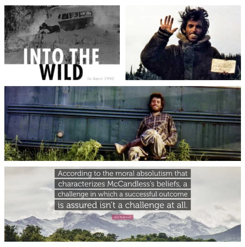 43 - Michael Rohde - Into the Wild