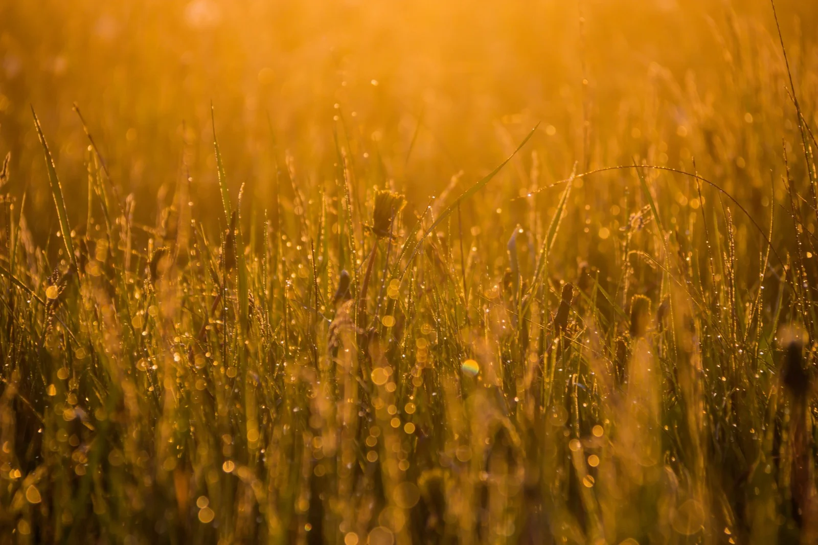 sunrise_landscape_dawn_countryside_soluppg_ng_landskap_geolocation_s_dersl_tt-467111.jpg!d.jpeg