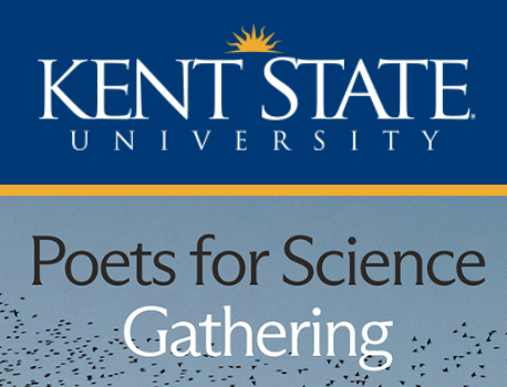 ELECTRICITY &amp; MAGNETISM: THE POWER OF DUAL PROCESS IN POETIC CRAFT