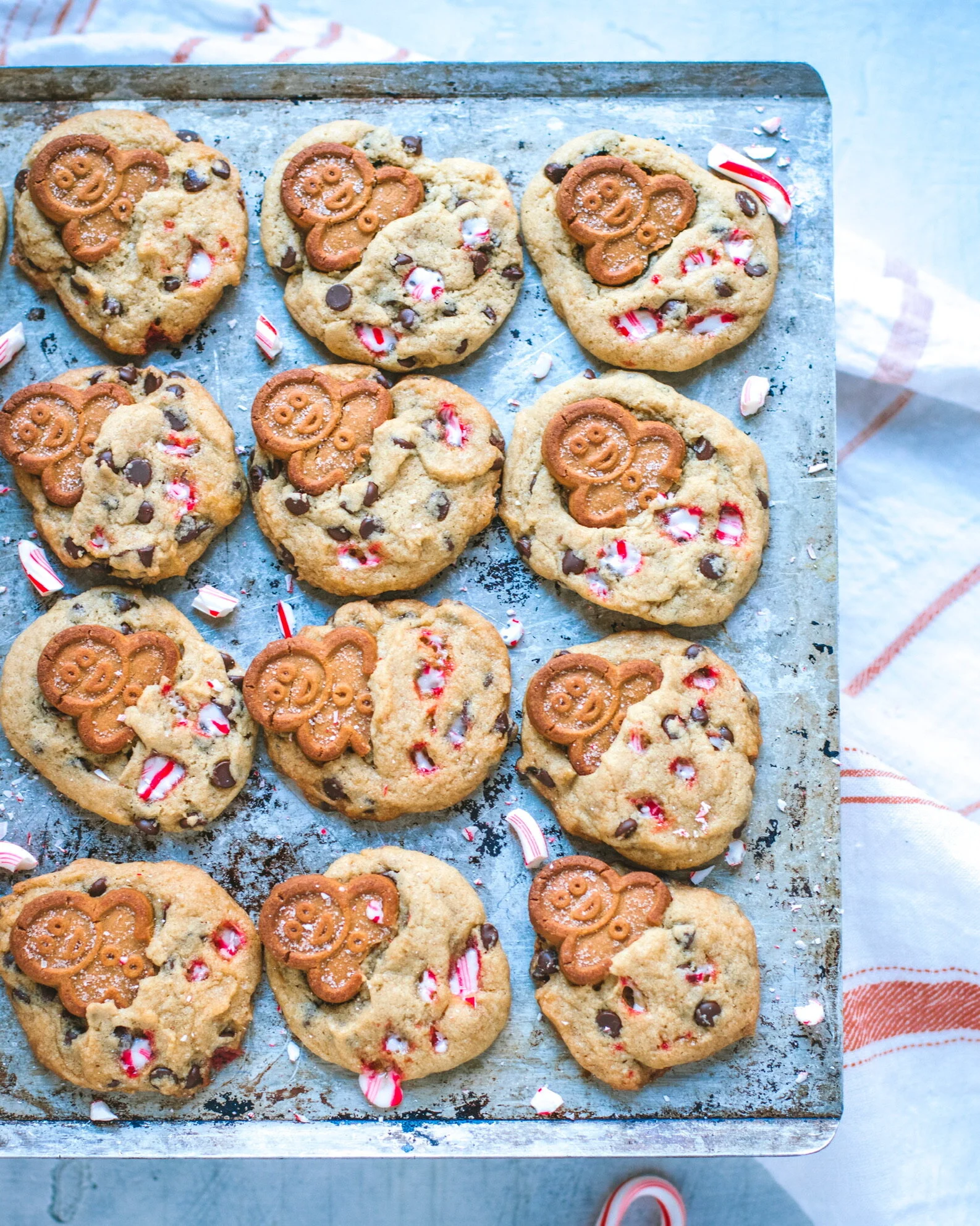 Chocolate Chip Gingerbread Cookies