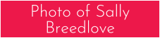 Download Button (12).png