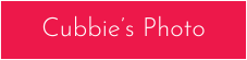 Download Button (16).png