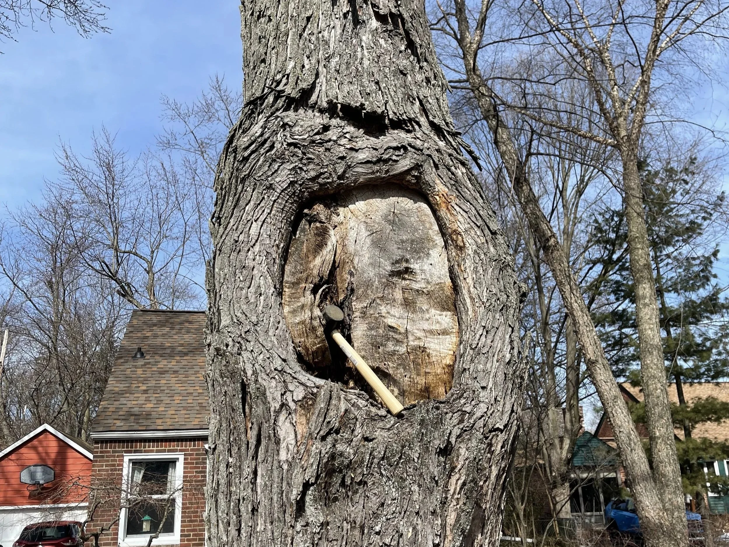 Is there a 'right' way to work with trees?