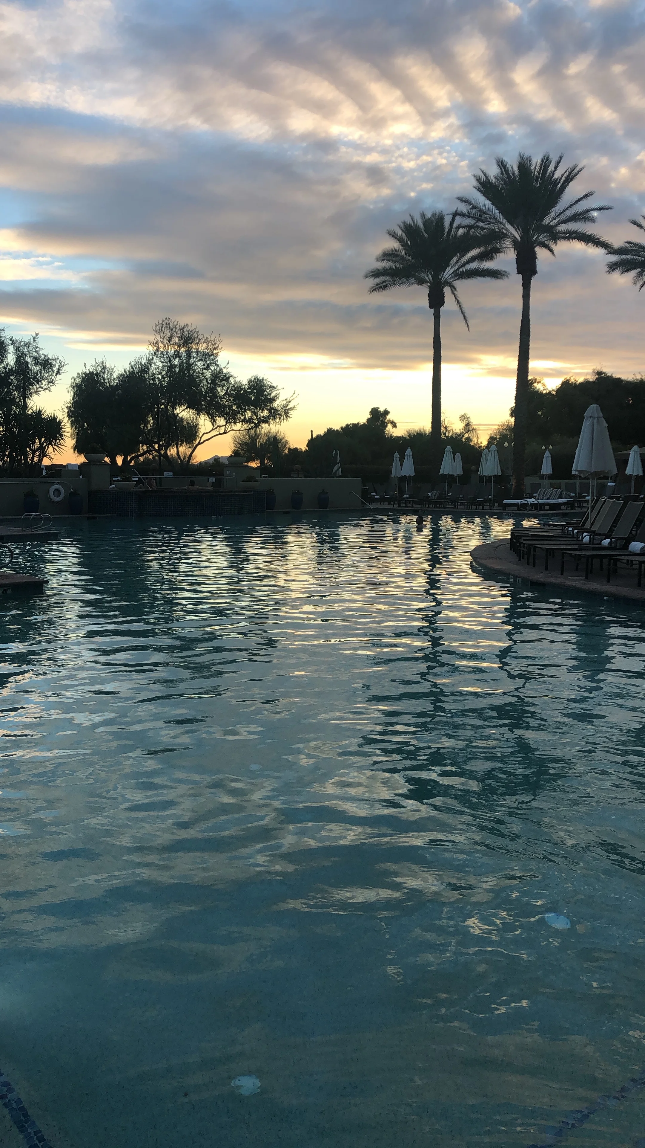 the prettiest view from the pool at the Fairmont Scottsdale Princess