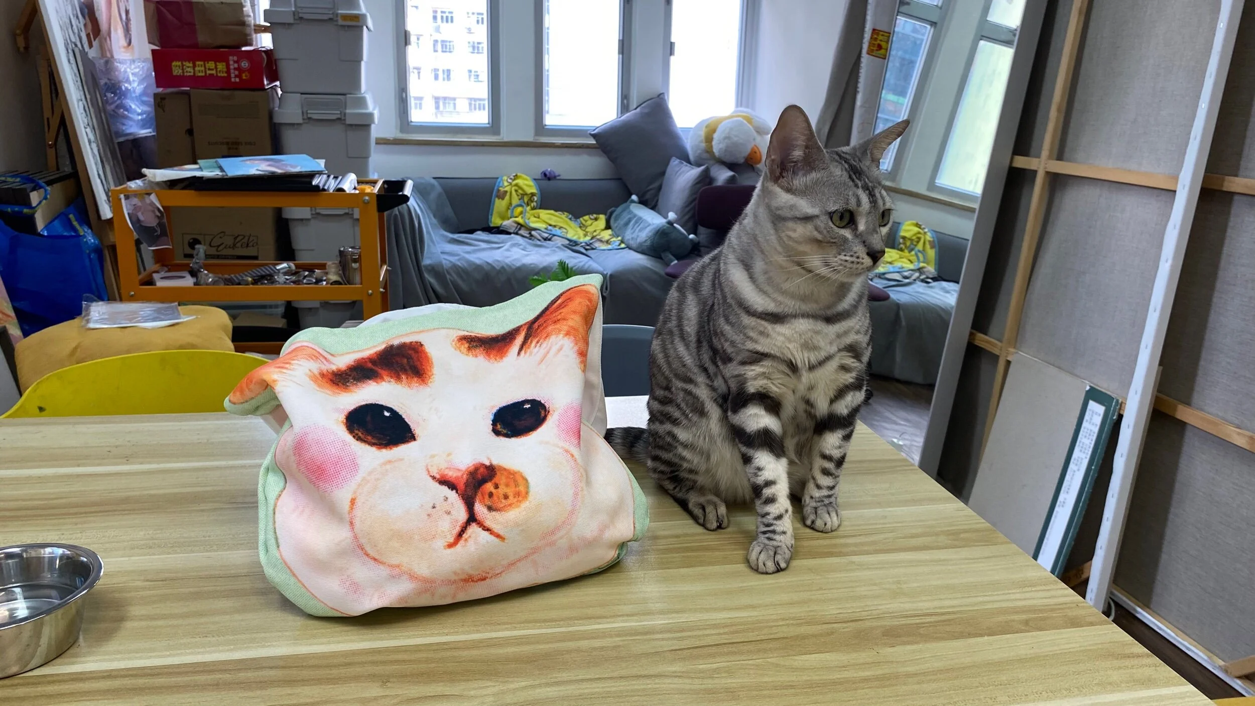 CE894468-AFBA-48E2-85C6-0519DF403102