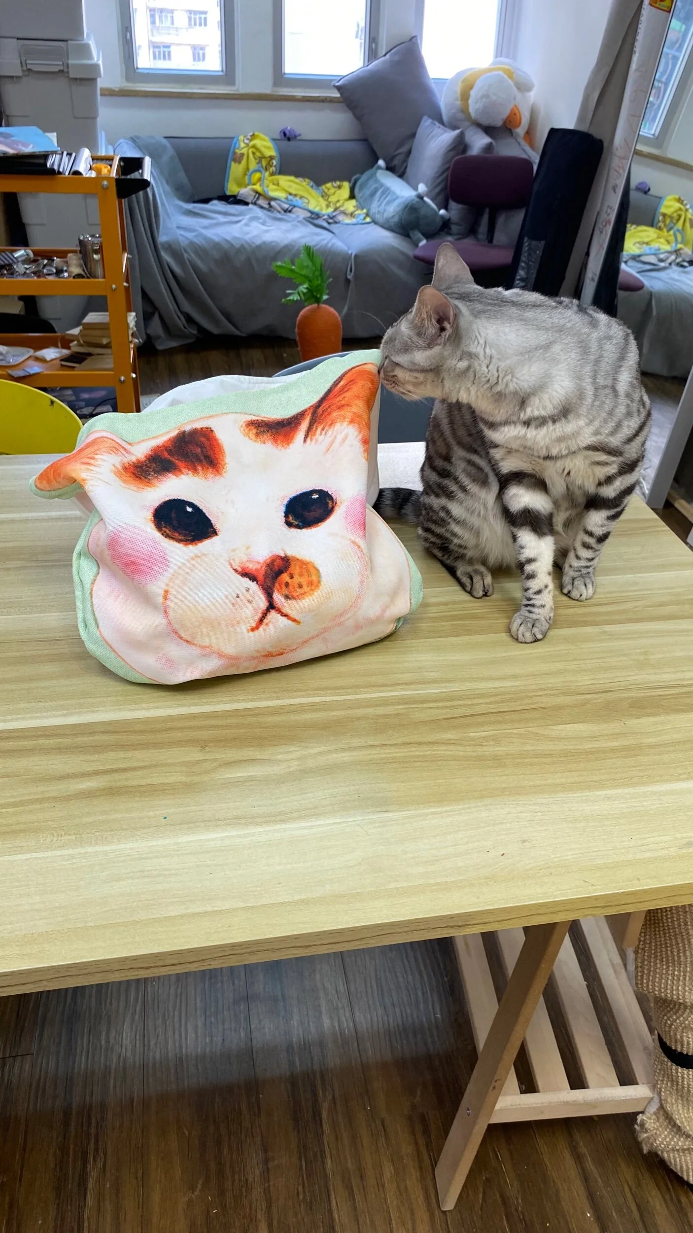 CA8CE7DD-1542-4D32-98E5-2B77C5C591D0