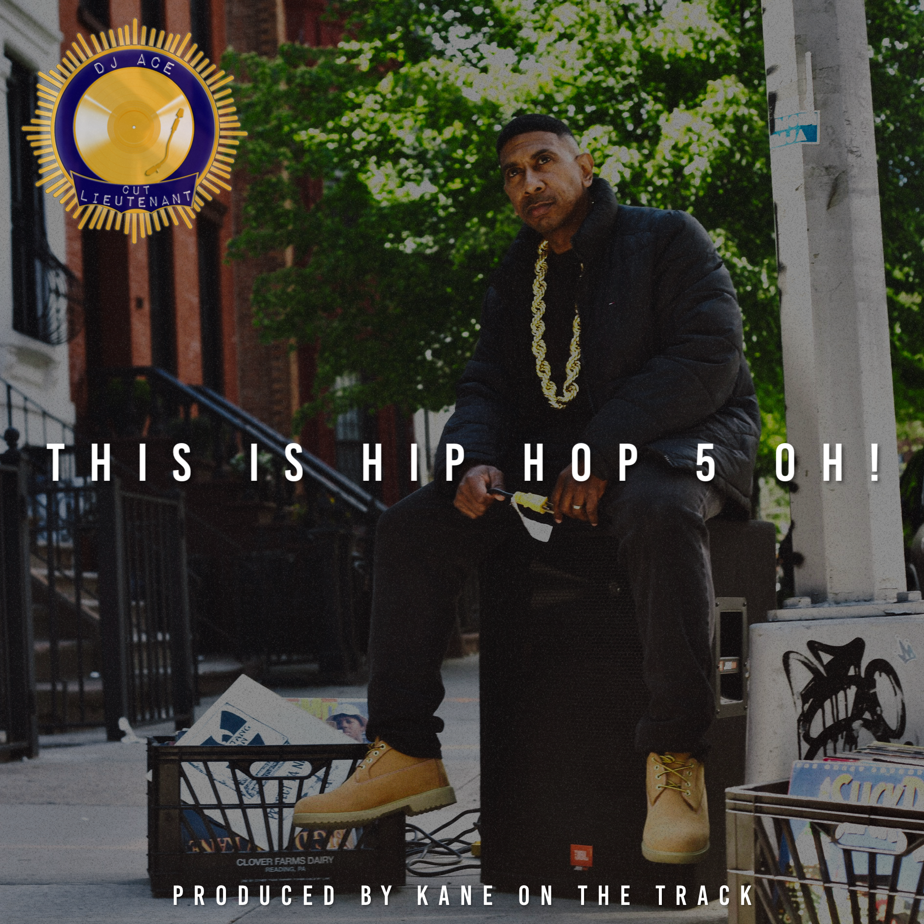 DJ Ace the Cut Lieutenant - This Is Hip Hop 5 Oh!