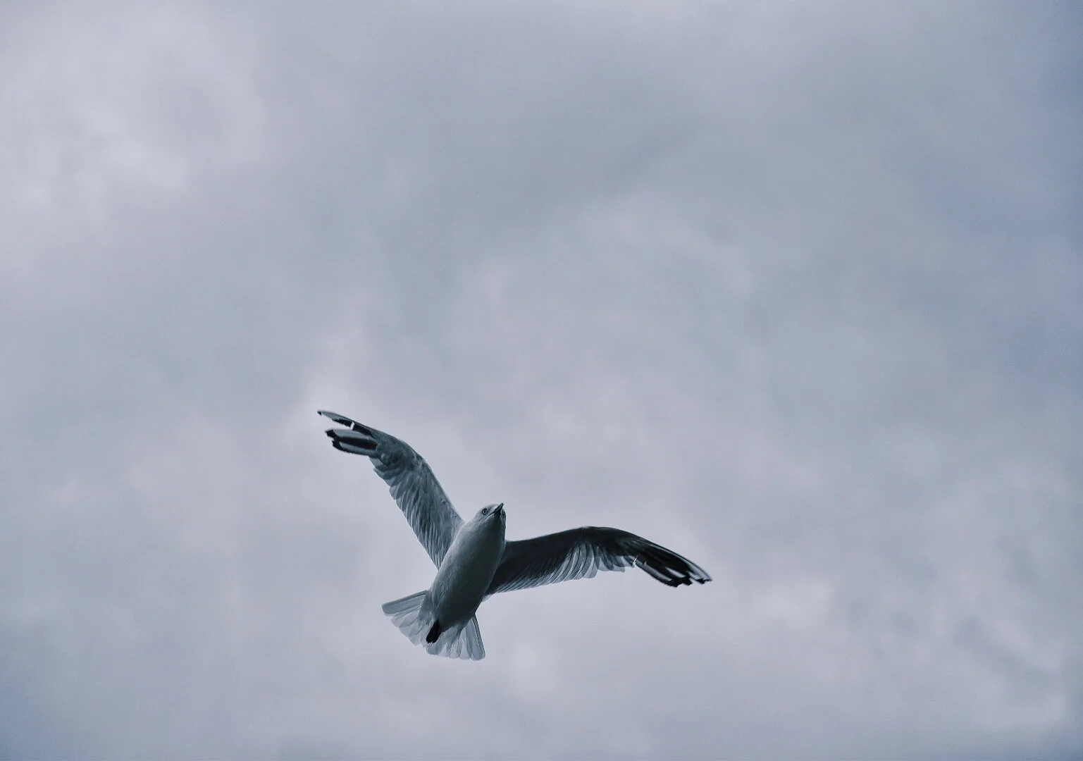 2020-02-05 01.25.14 3.jpg